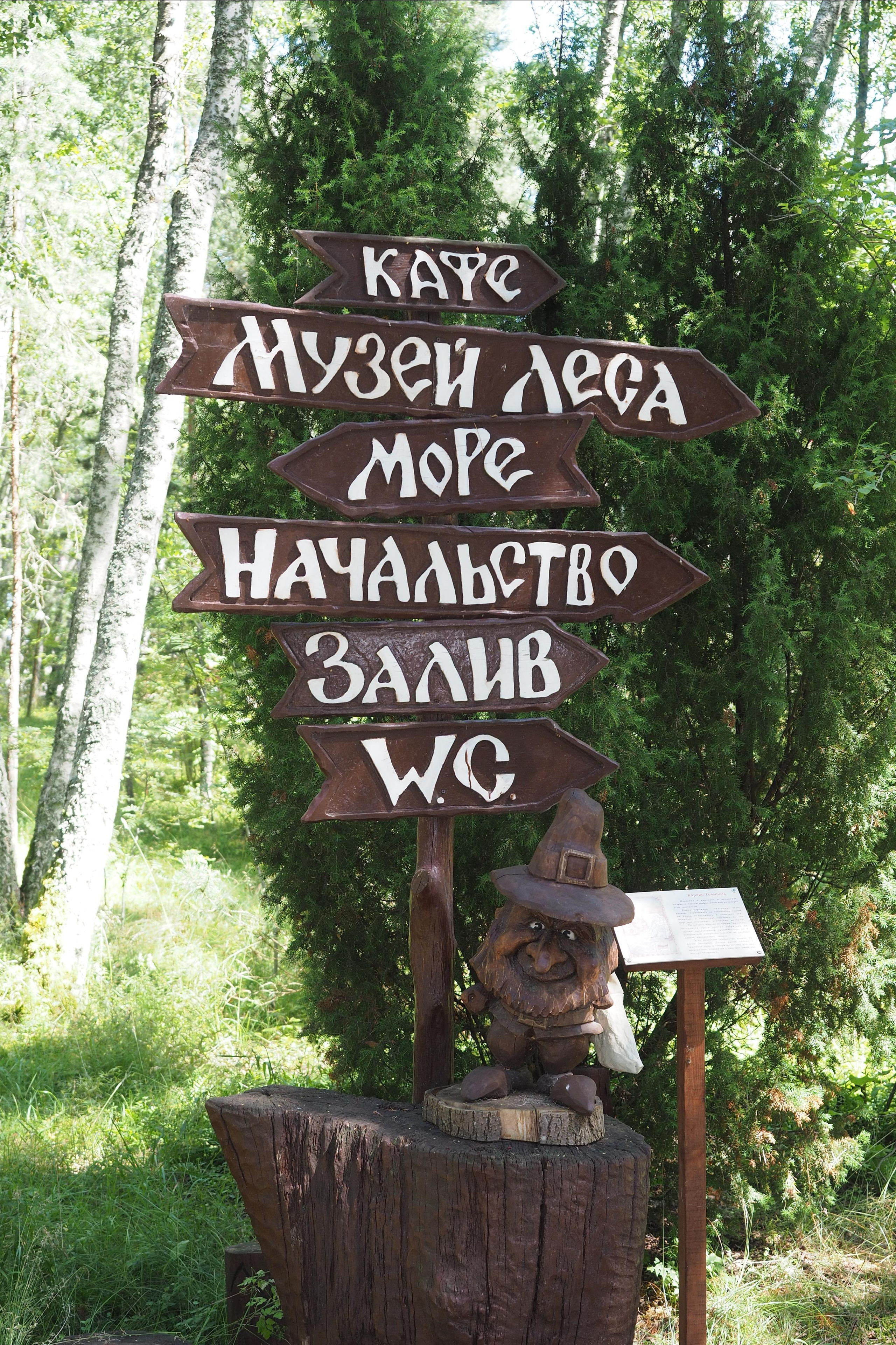 Куршская коса. Экскурсии по Калининграду