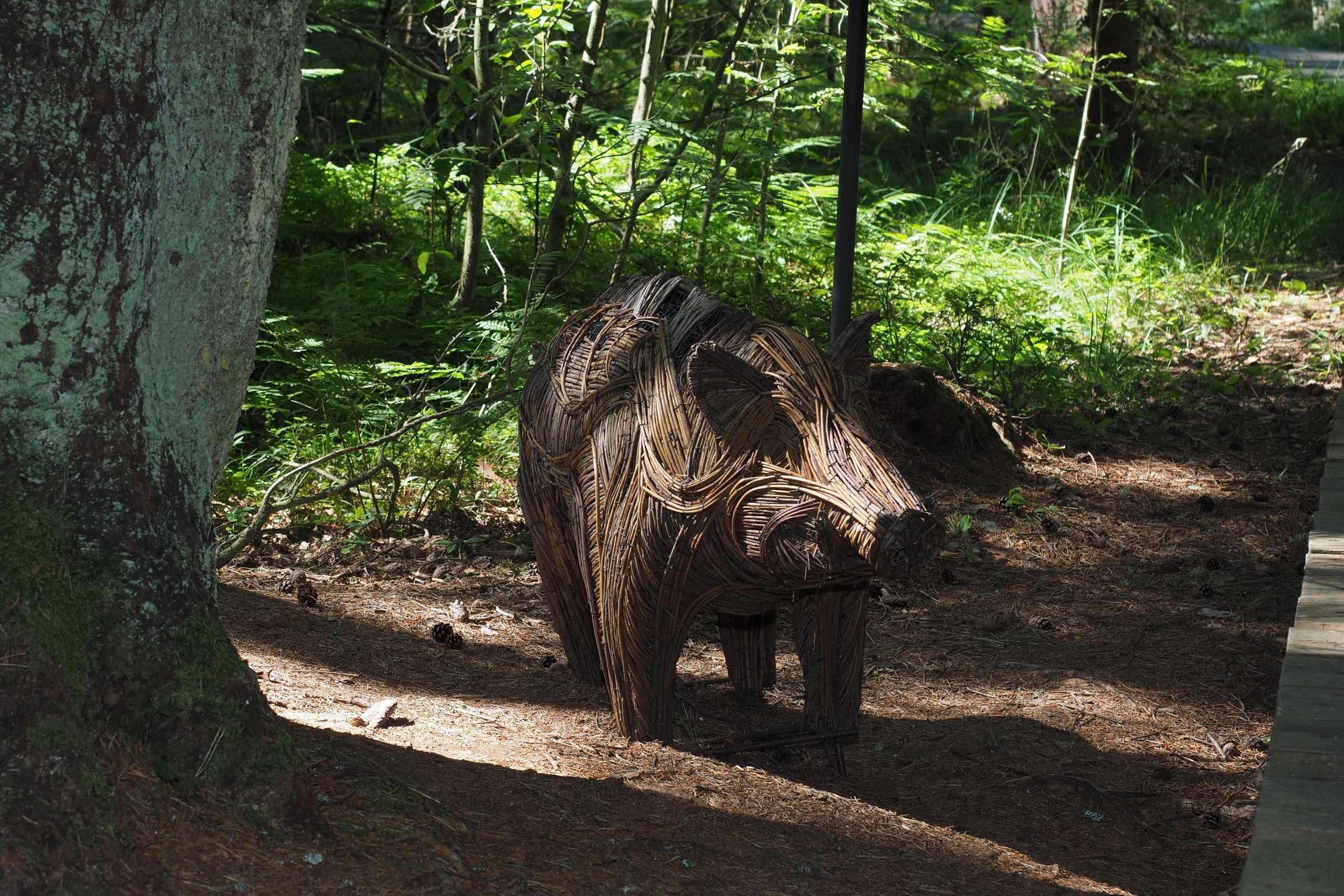 Куршская коса. Экскурсии по Калининграду