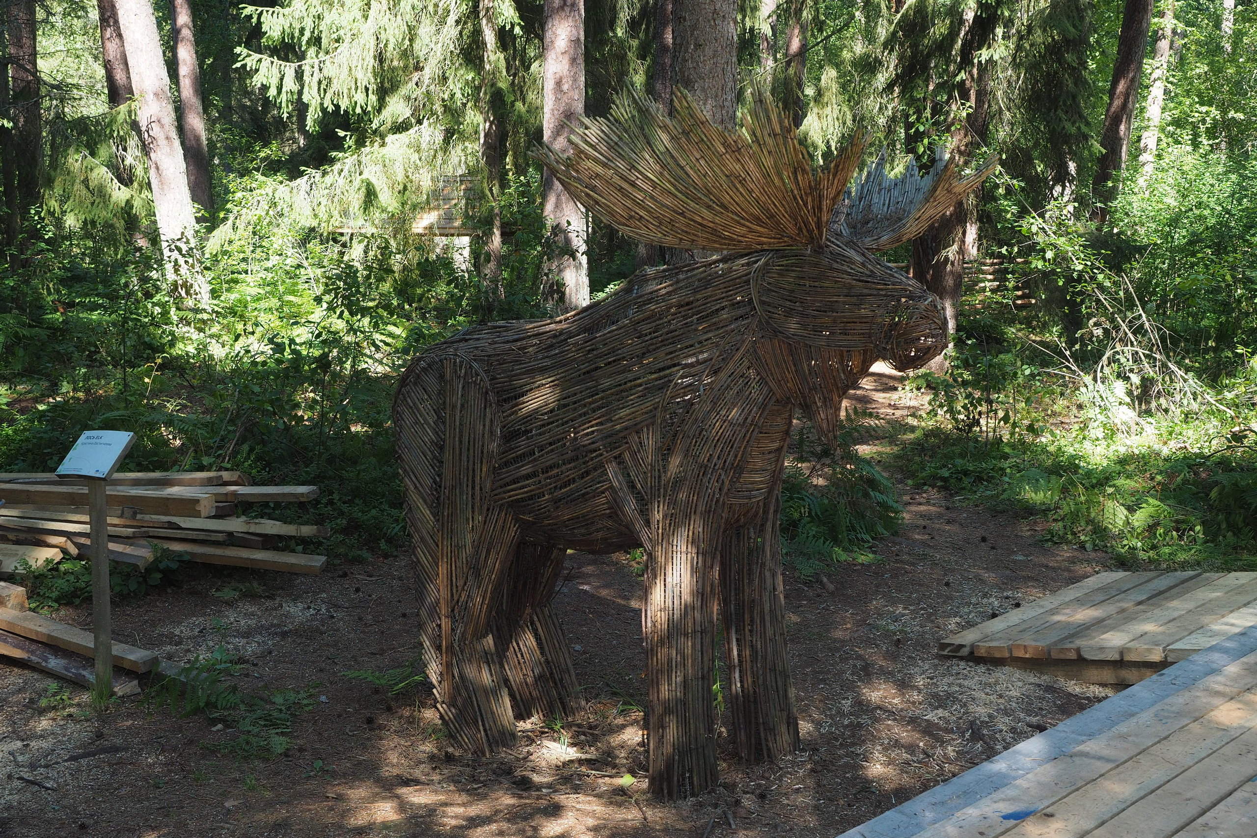 Куршская коса. Экскурсии по Калининграду