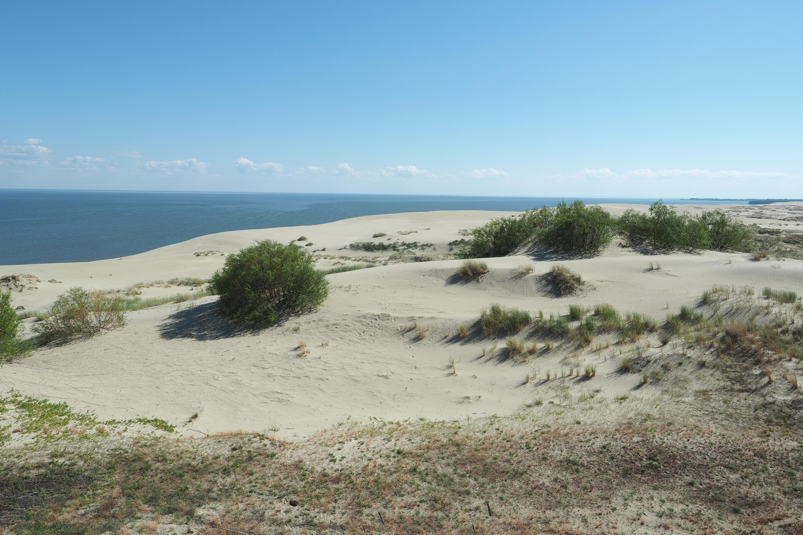 Куршская коса. Экскурсии по Калининграду