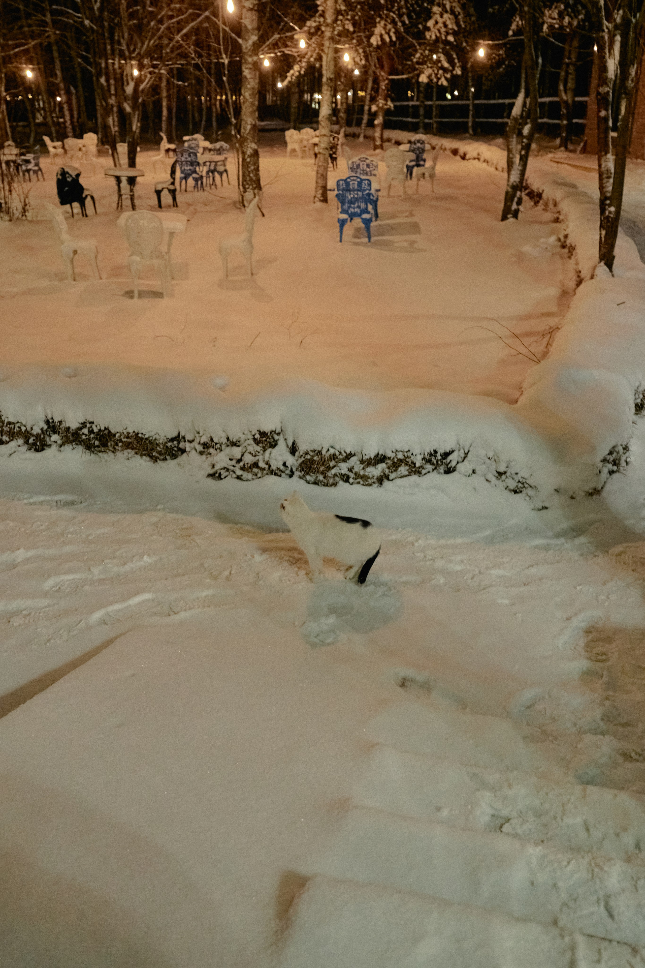 Бутик-отель Поле зимой. Профессиональный Фотограф во Владимире, в Москве и в Суздале — Полина Романычева