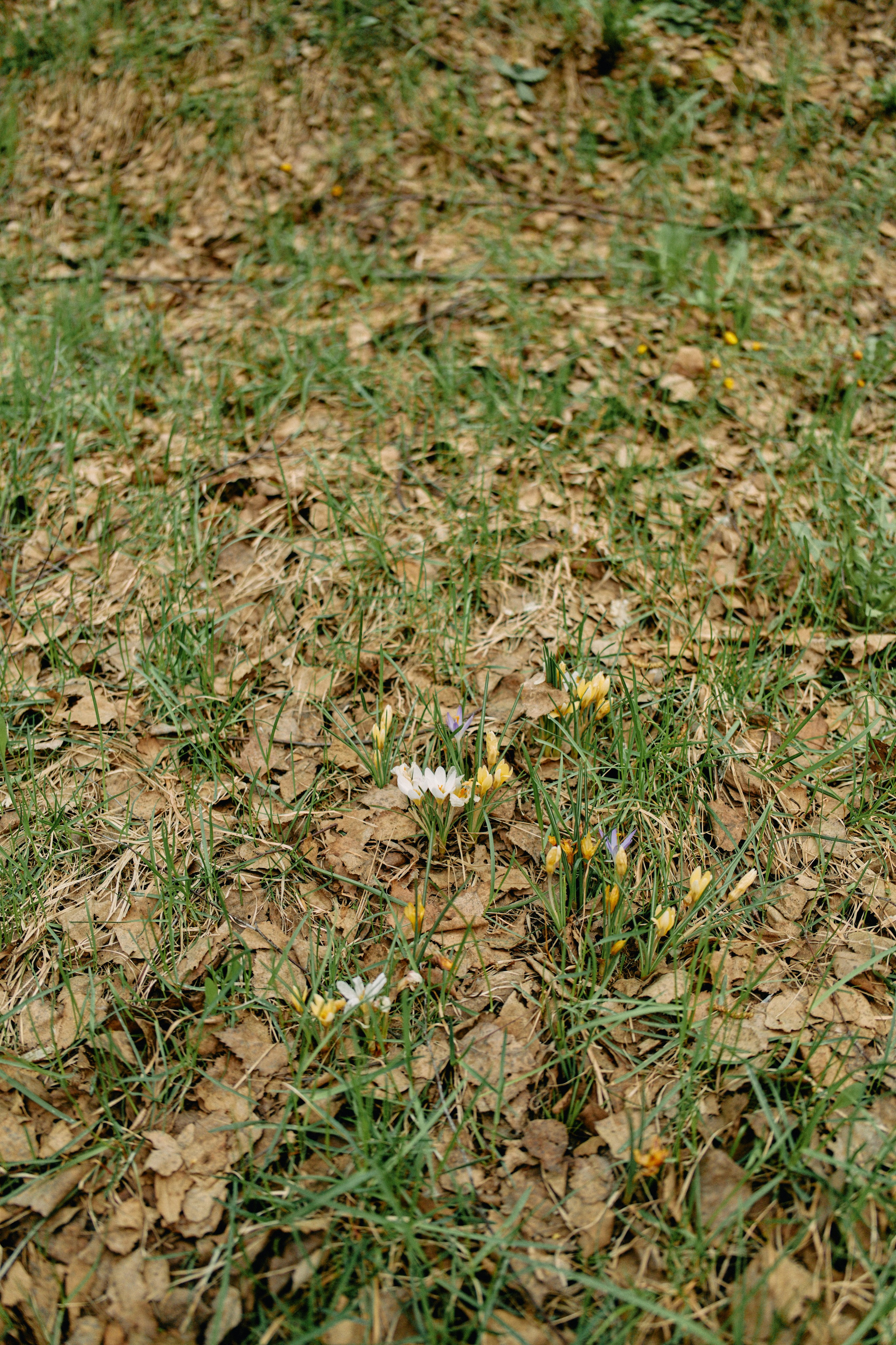 Бутик-отель Поле летом. Профессиональный Фотограф во Владимире, в Москве и в Суздале — Полина Романычева