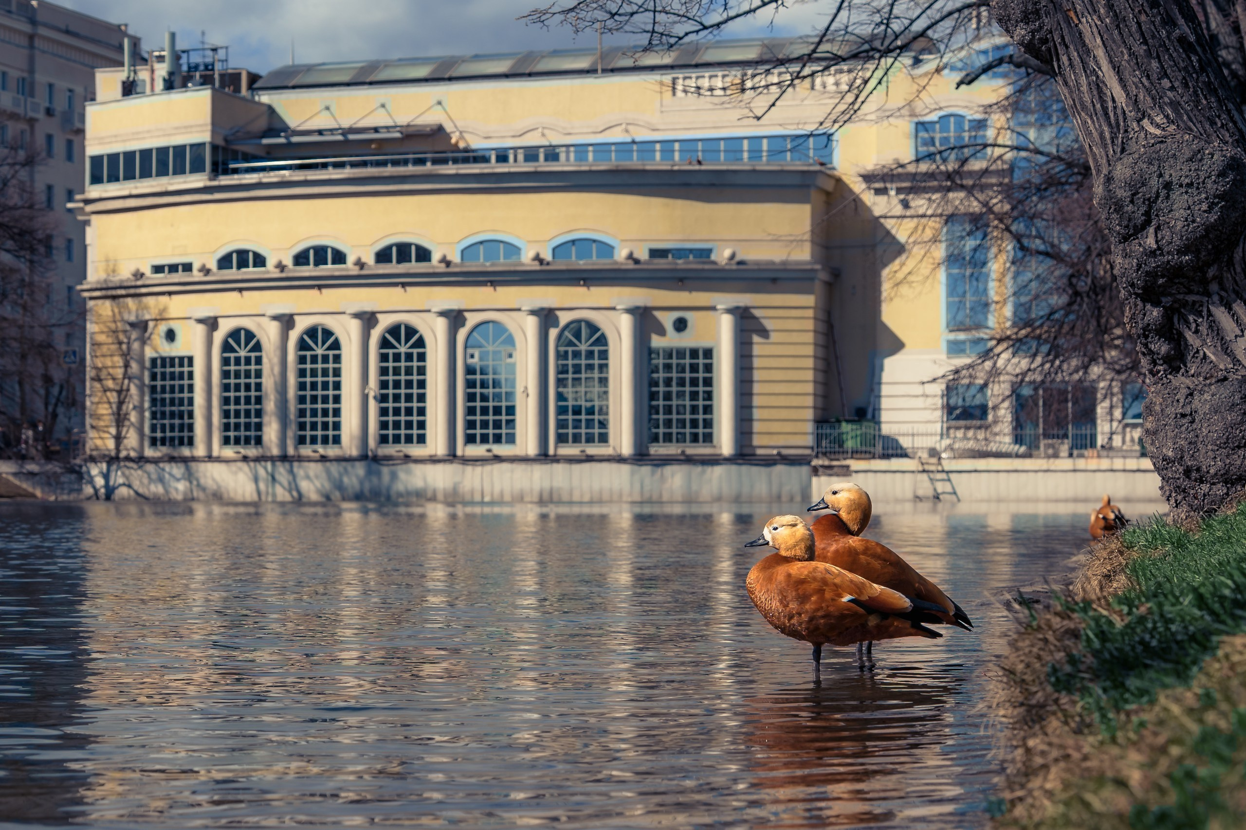 Фото-прогулка. Пенкин Александр