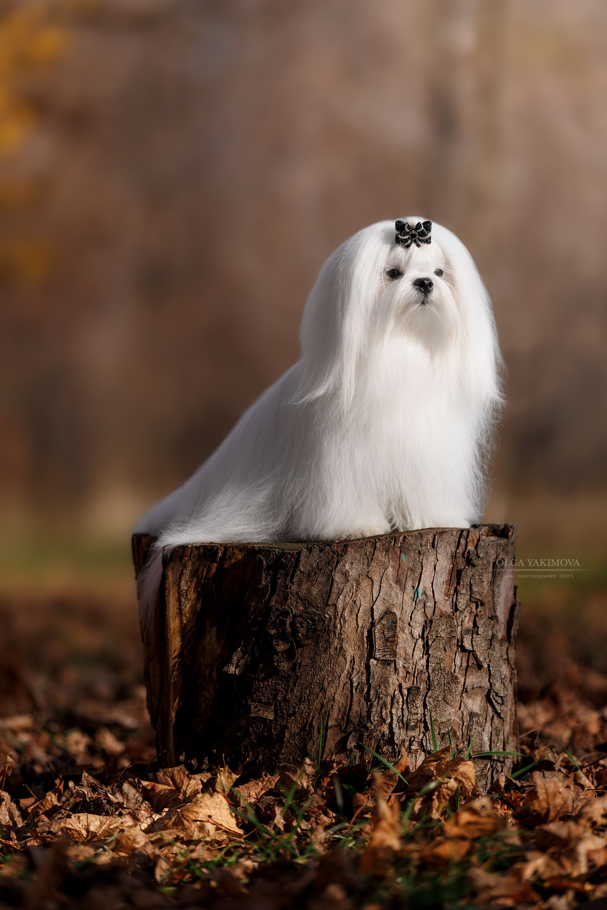 Экстерьер. Фотограф