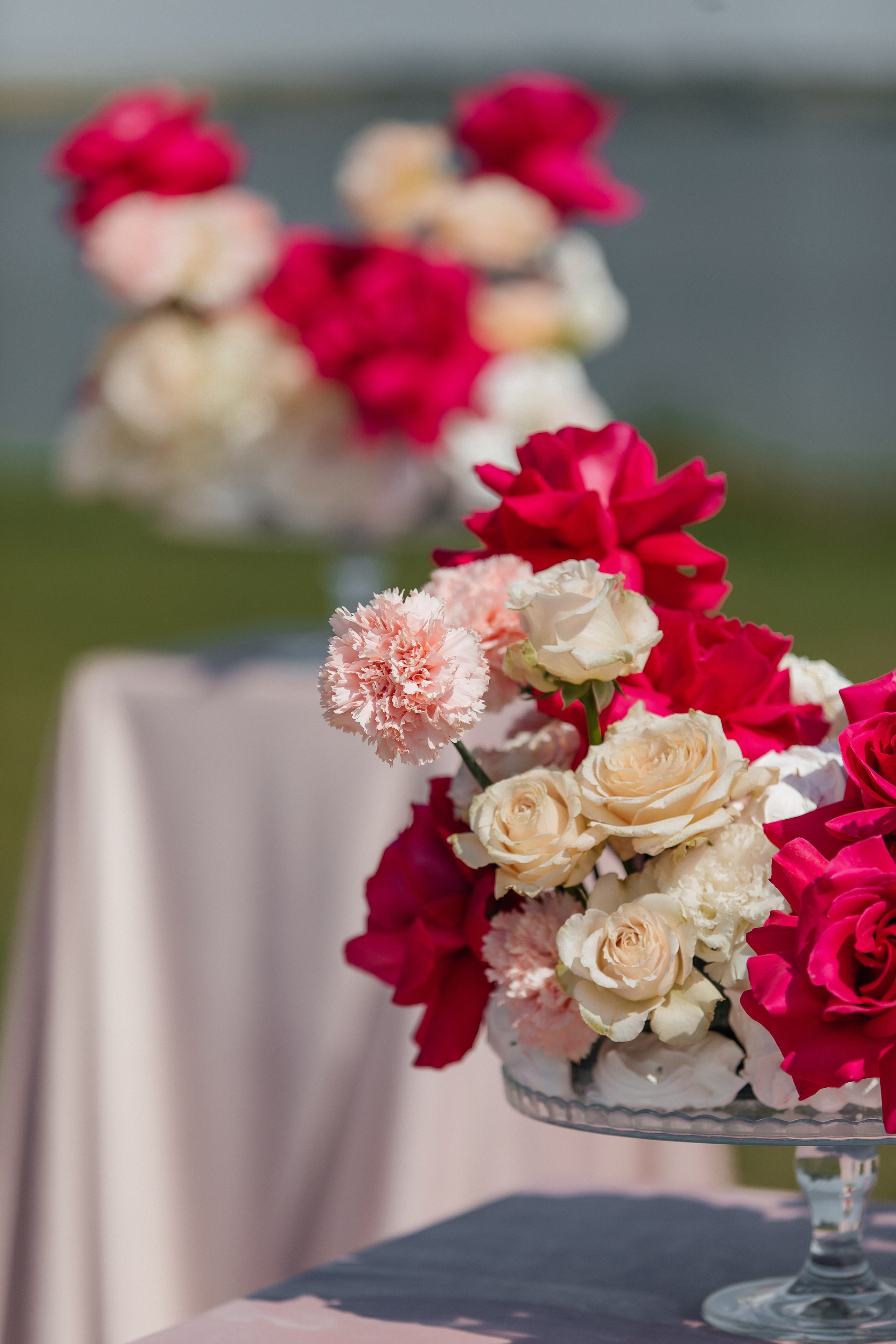 D&X. Фотограф Таганрог Хребет София