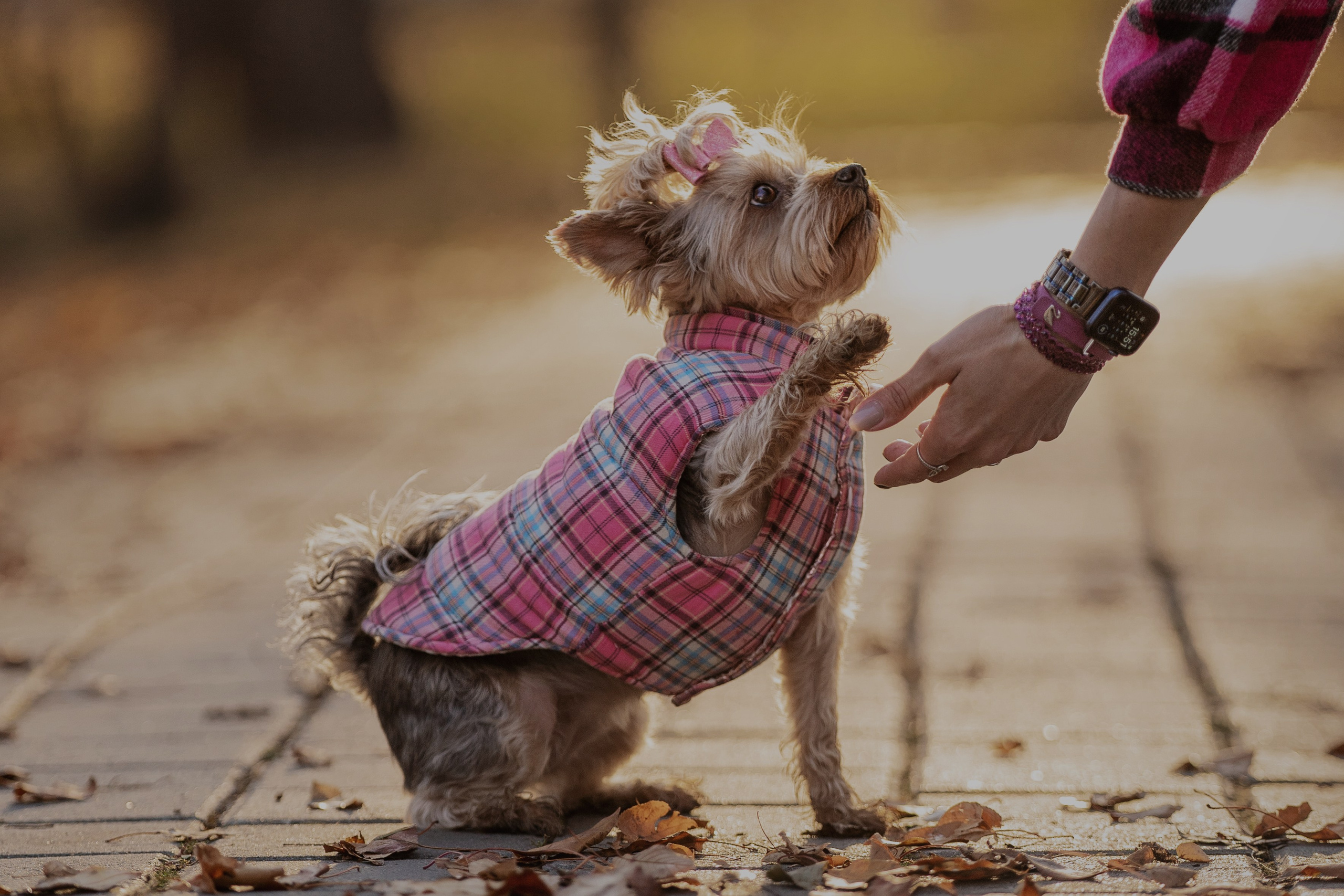 Мария + Роксана (история дружбы). Kameramotor74