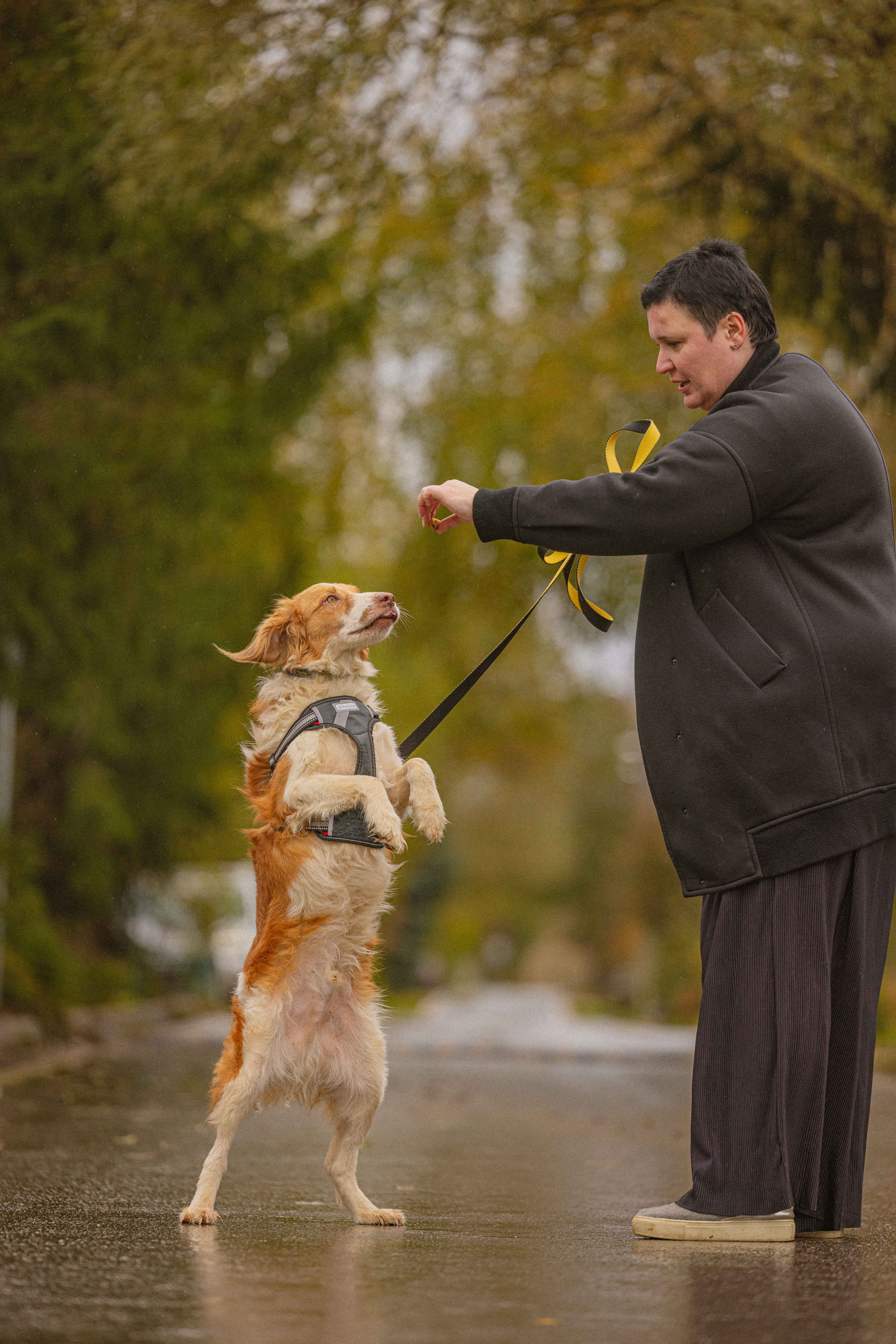 Передержка. Фотограф-анималист в Москве Лера Черноног