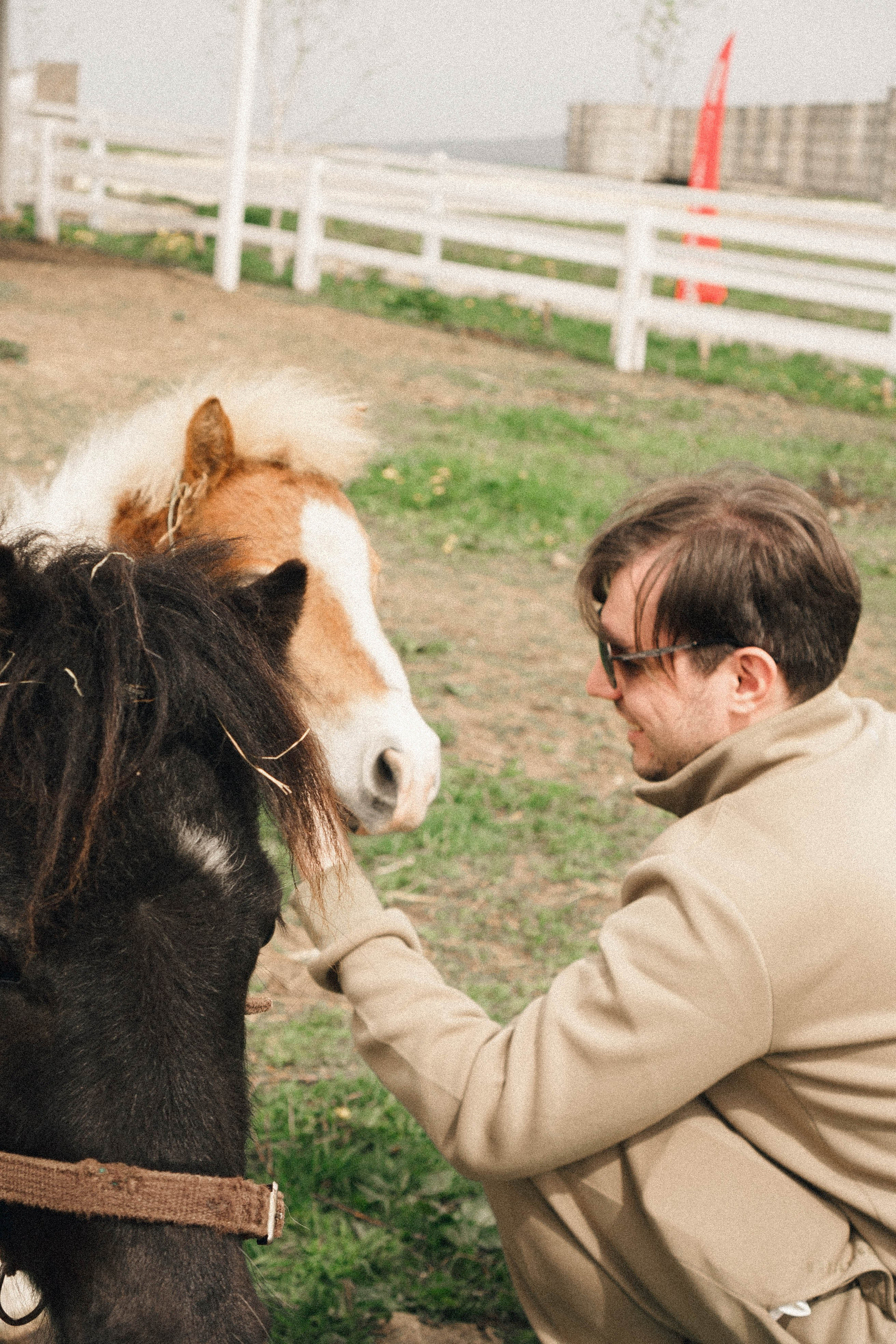 Ферма Альпак. Профессиональный фотограф, Санкт-Петербург — Виктория Богомолова