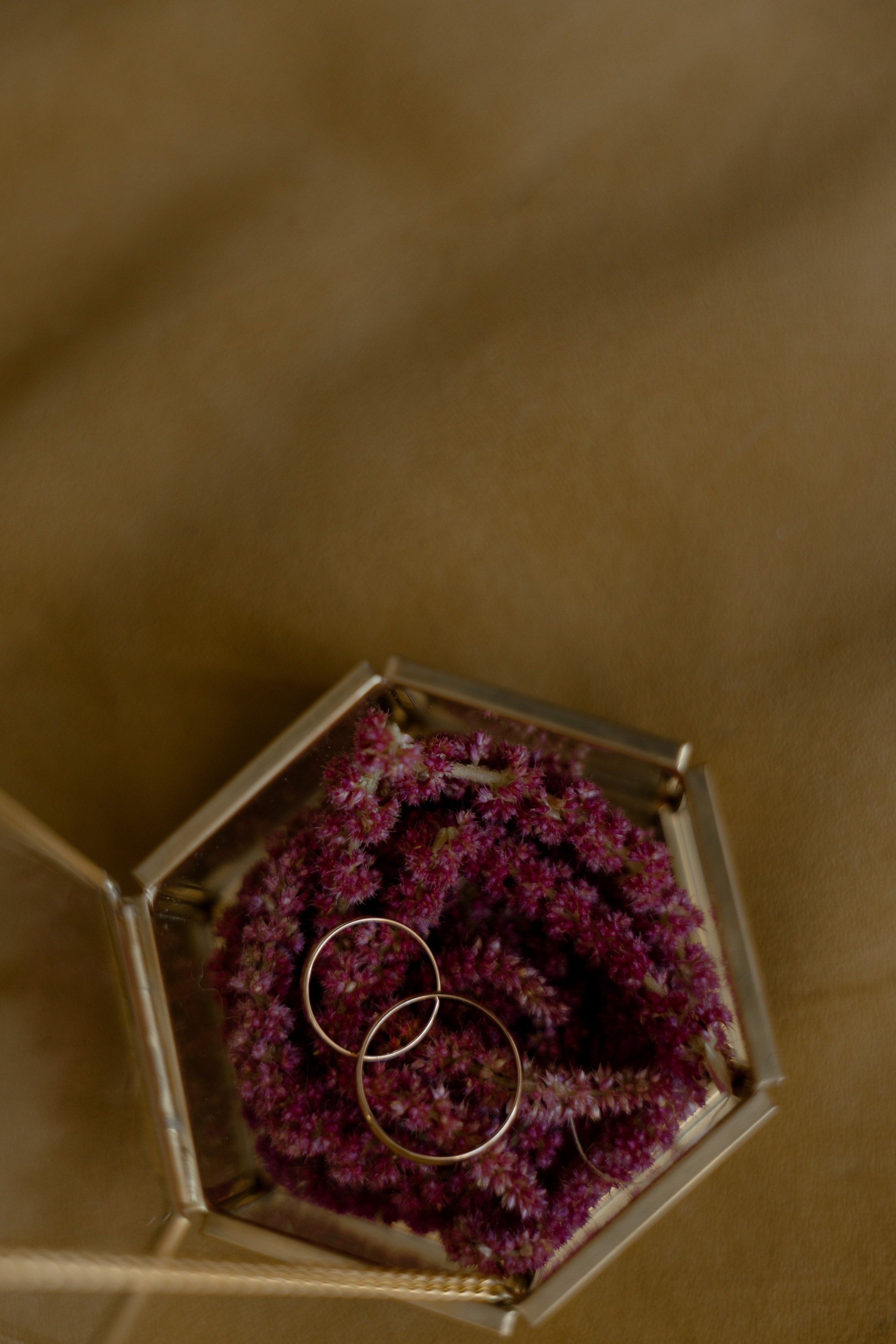 MARSEL | MARGO. Главная