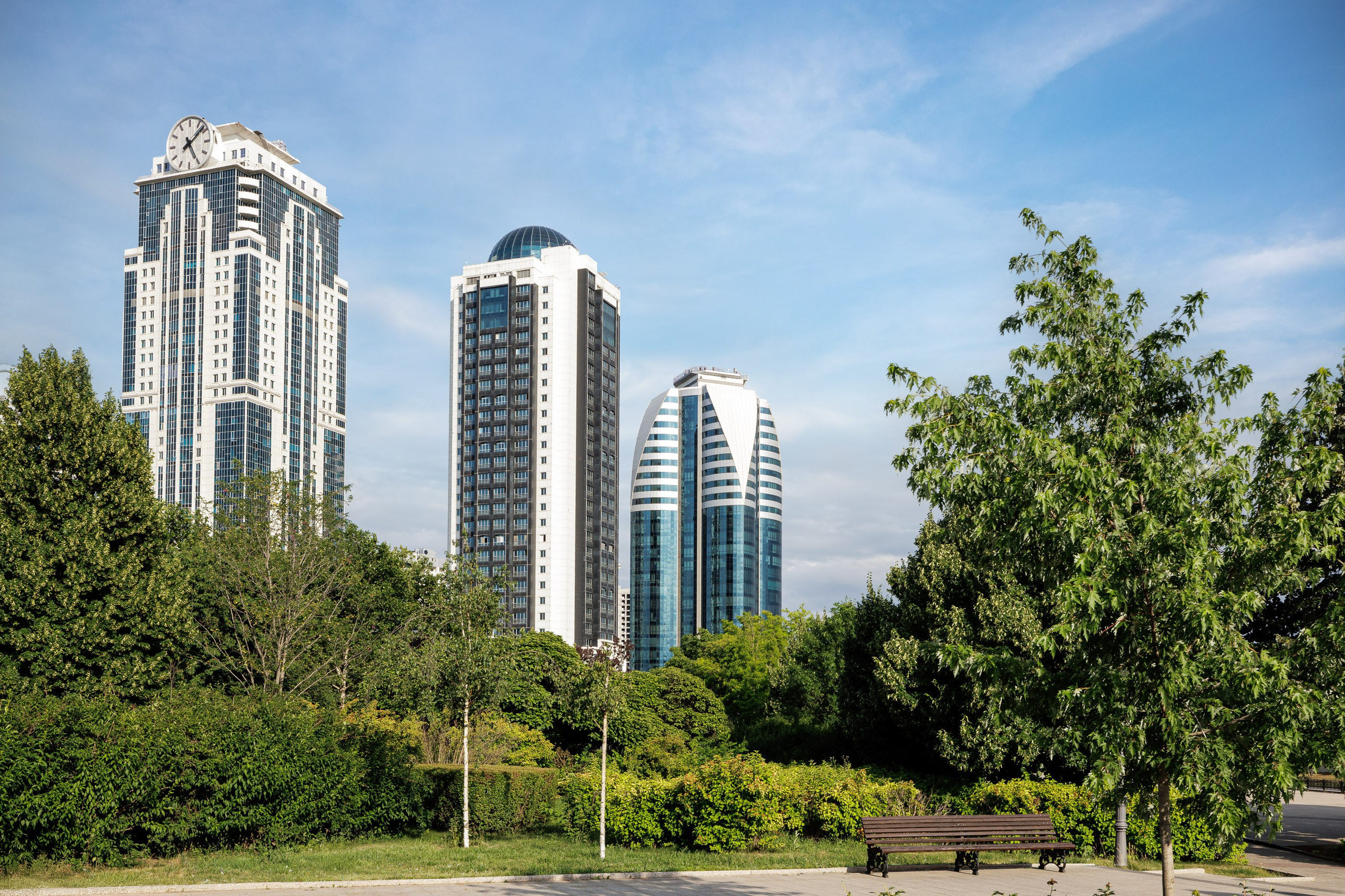 Cosmos Selection Grozny City