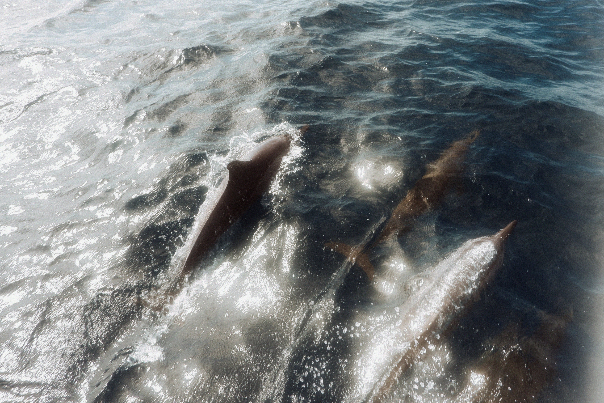 MALDIVES&BAHRAIN. ANNA — PHOTOGRAPHER