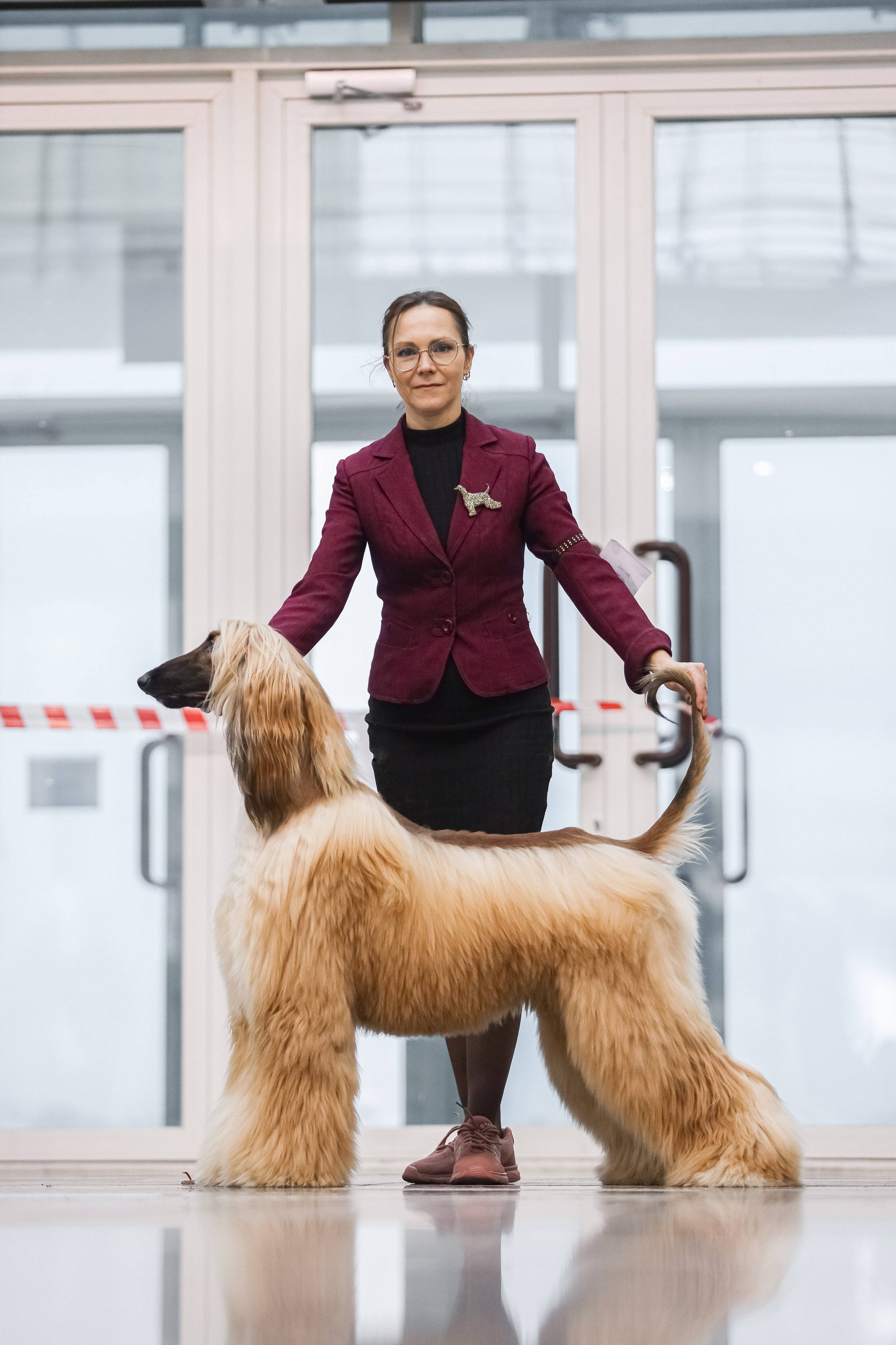 Международная выставка собак СACIB FCI 29-30.11.2025. Галерея фотографий афганской борзой