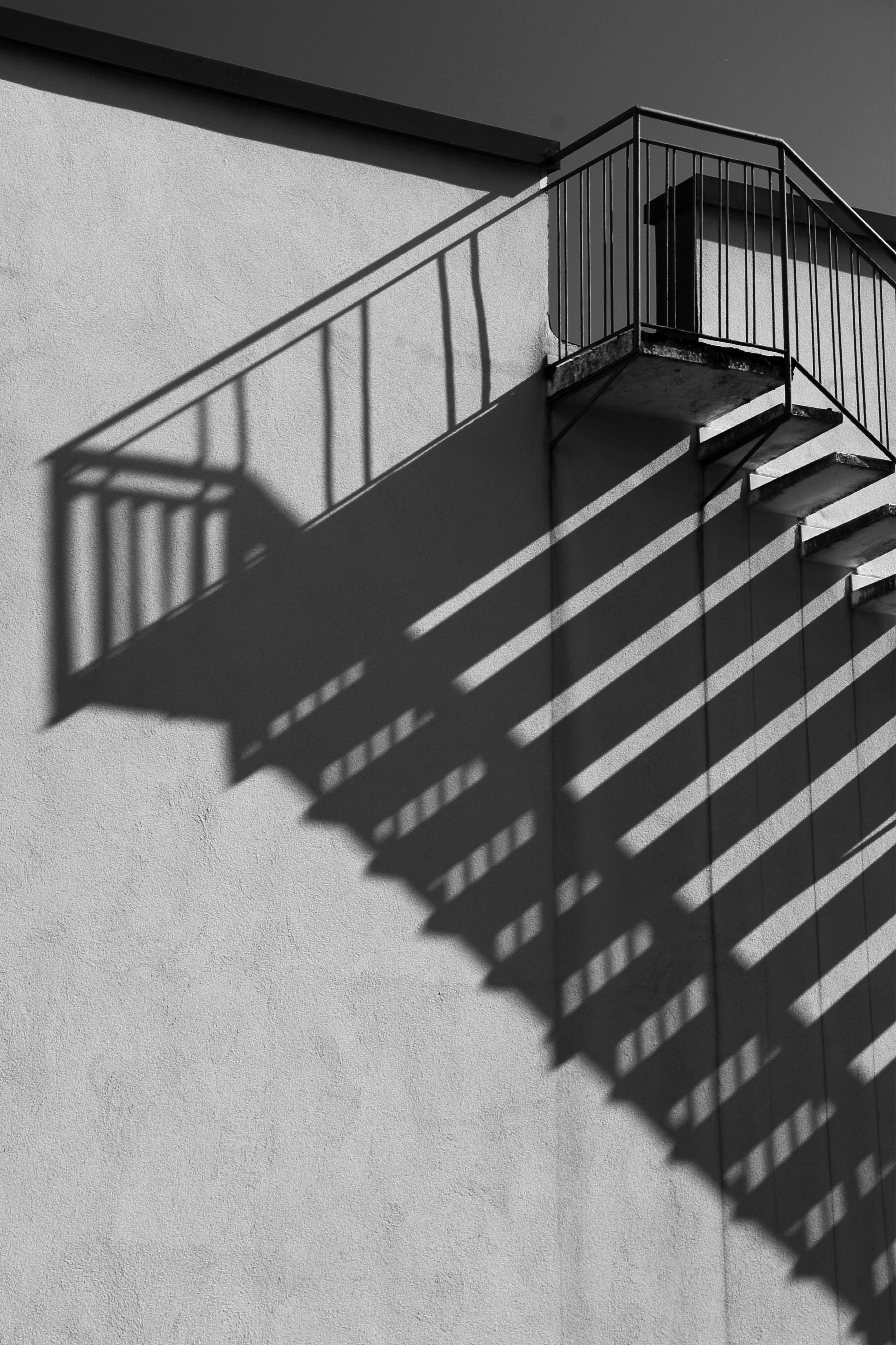 Фото. Фотограф Лагутин Анатолий