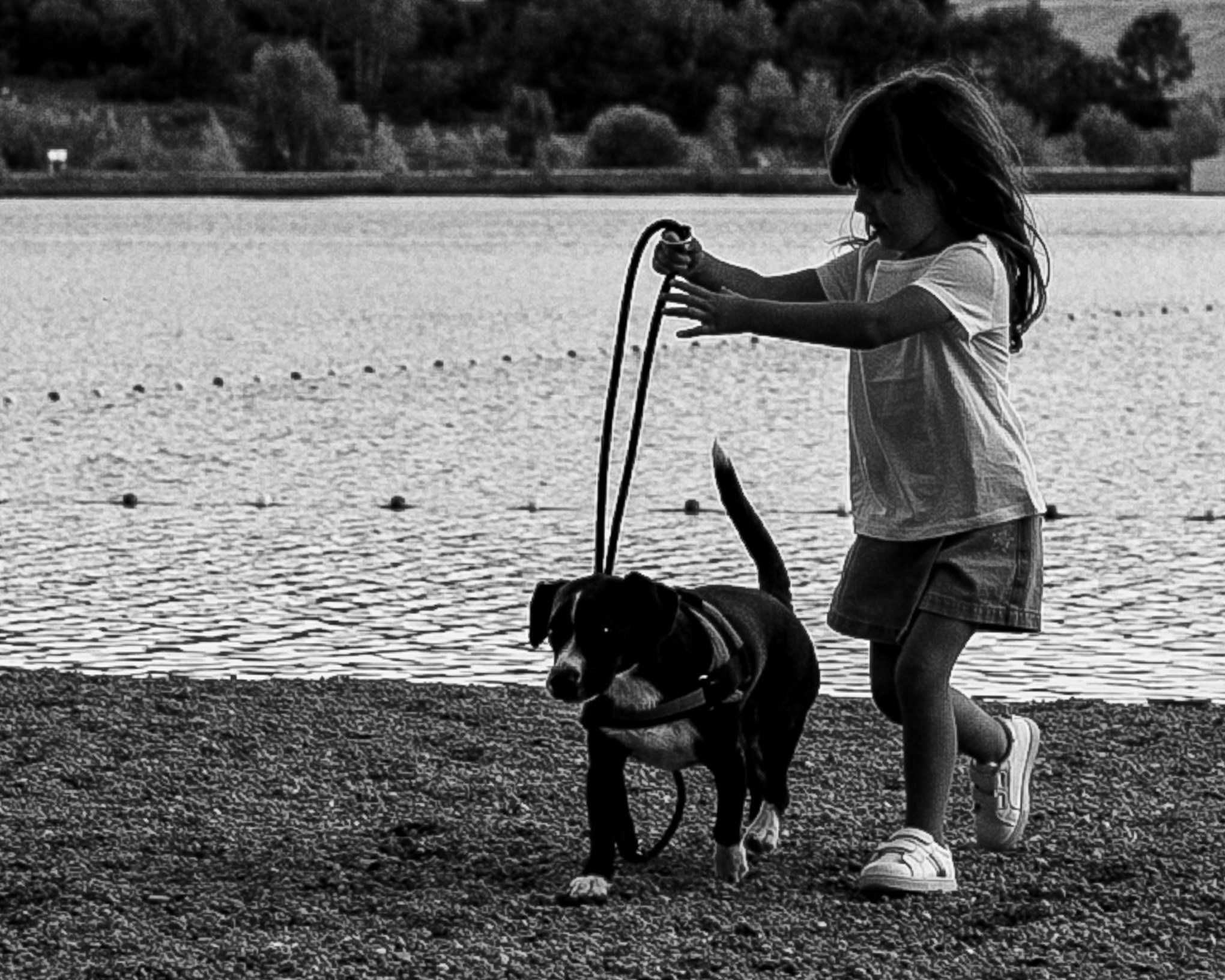 Стив, Шарли, Каро, Тэа, Нора