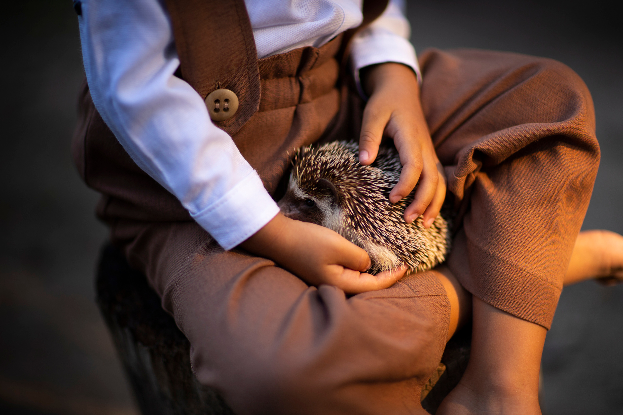 Малыши и ежики. Фотограф и дизайнер г. Новороссийск Алена Дарбакова