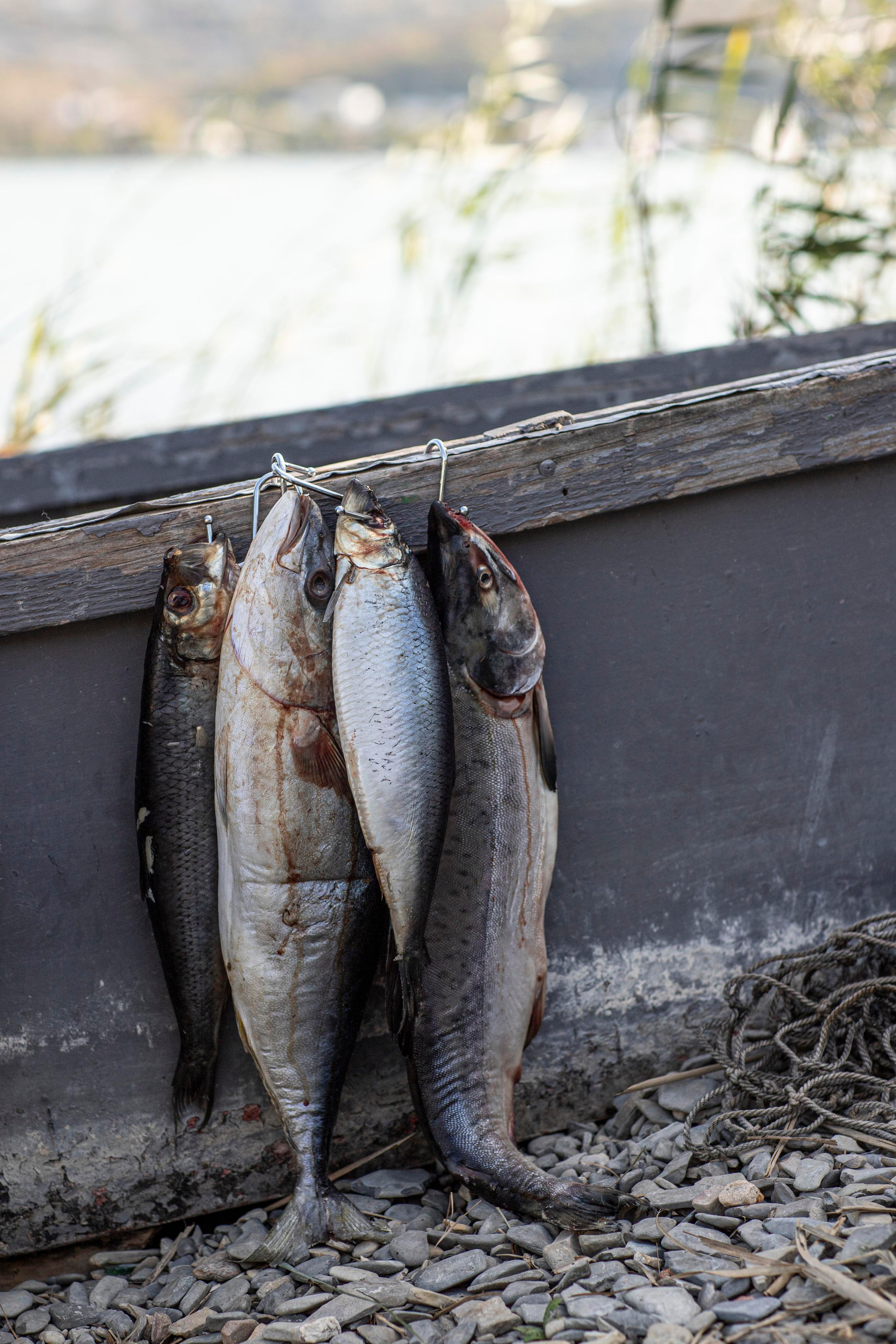 Поморы. Фотограф и дизайнер г. Новороссийск Алена Дарбакова