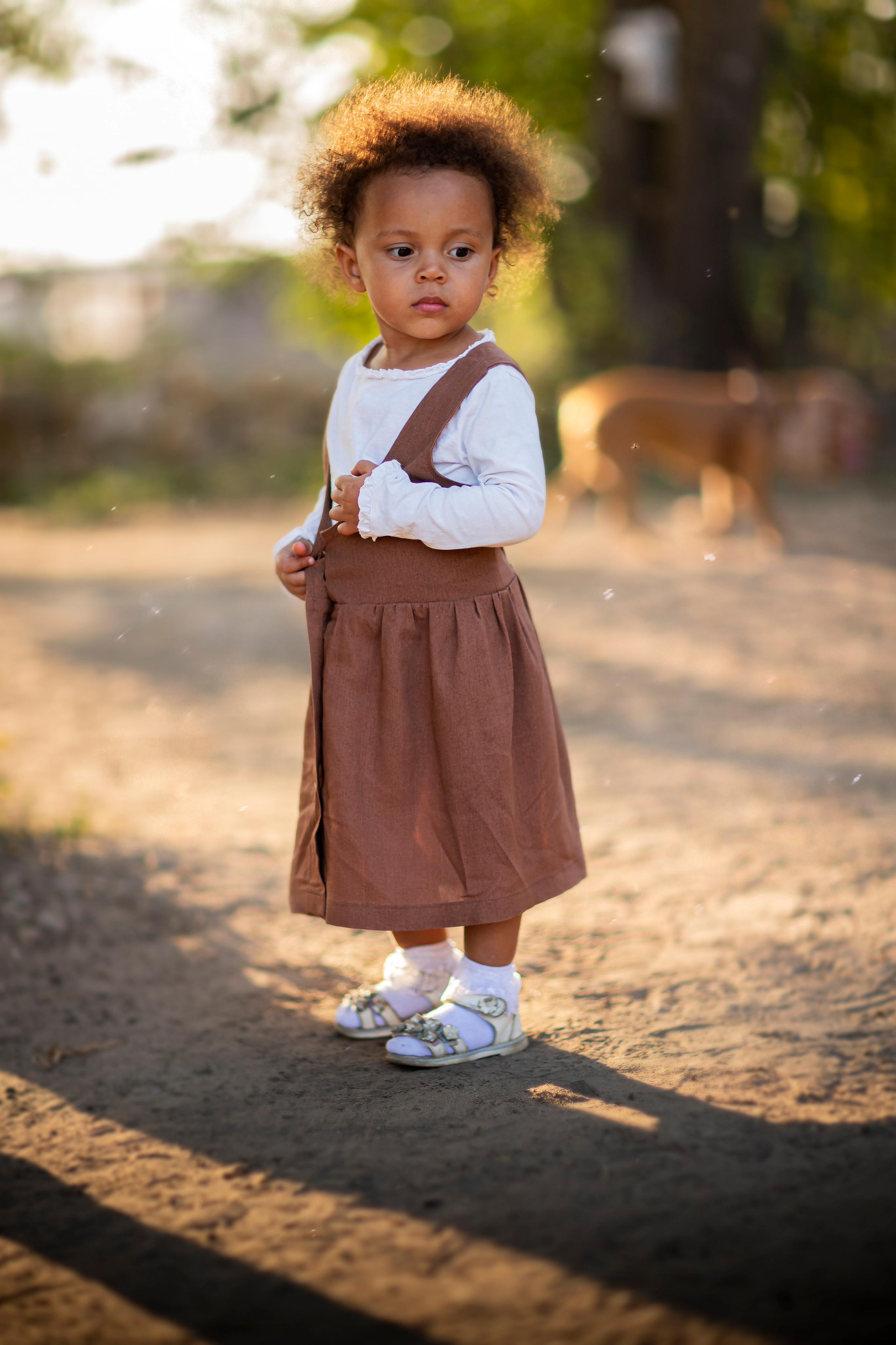Малыши и ежики. Фотограф и дизайнер г. Новороссийск Алена Дарбакова