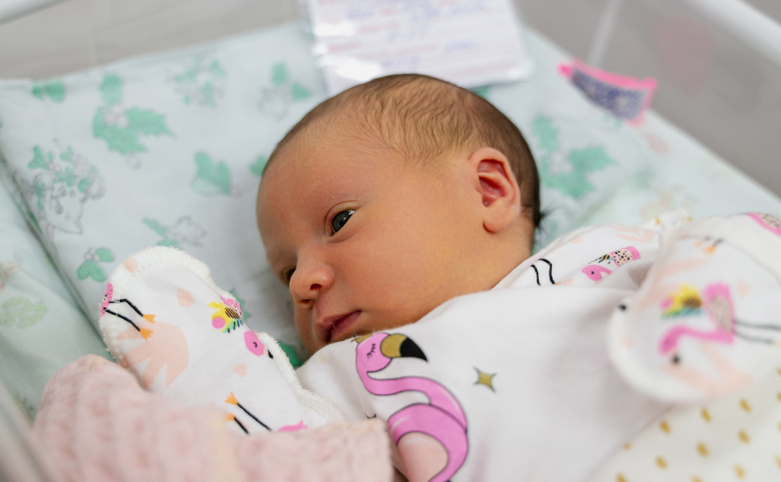 Выписка Лизы. Фотограф самых запоминающихся моментов Вашей жизни