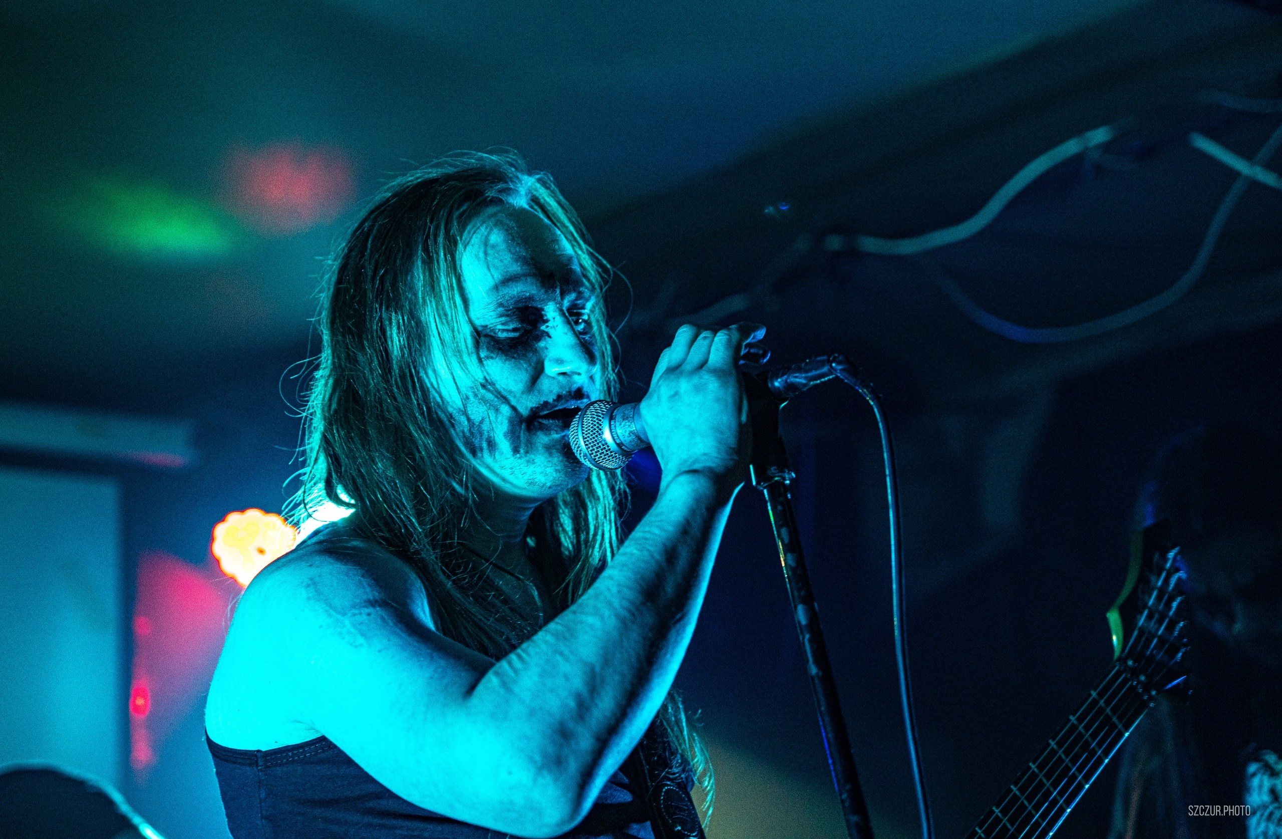 Волчьи Трупы в Городе 6.01.25. Szczur photo