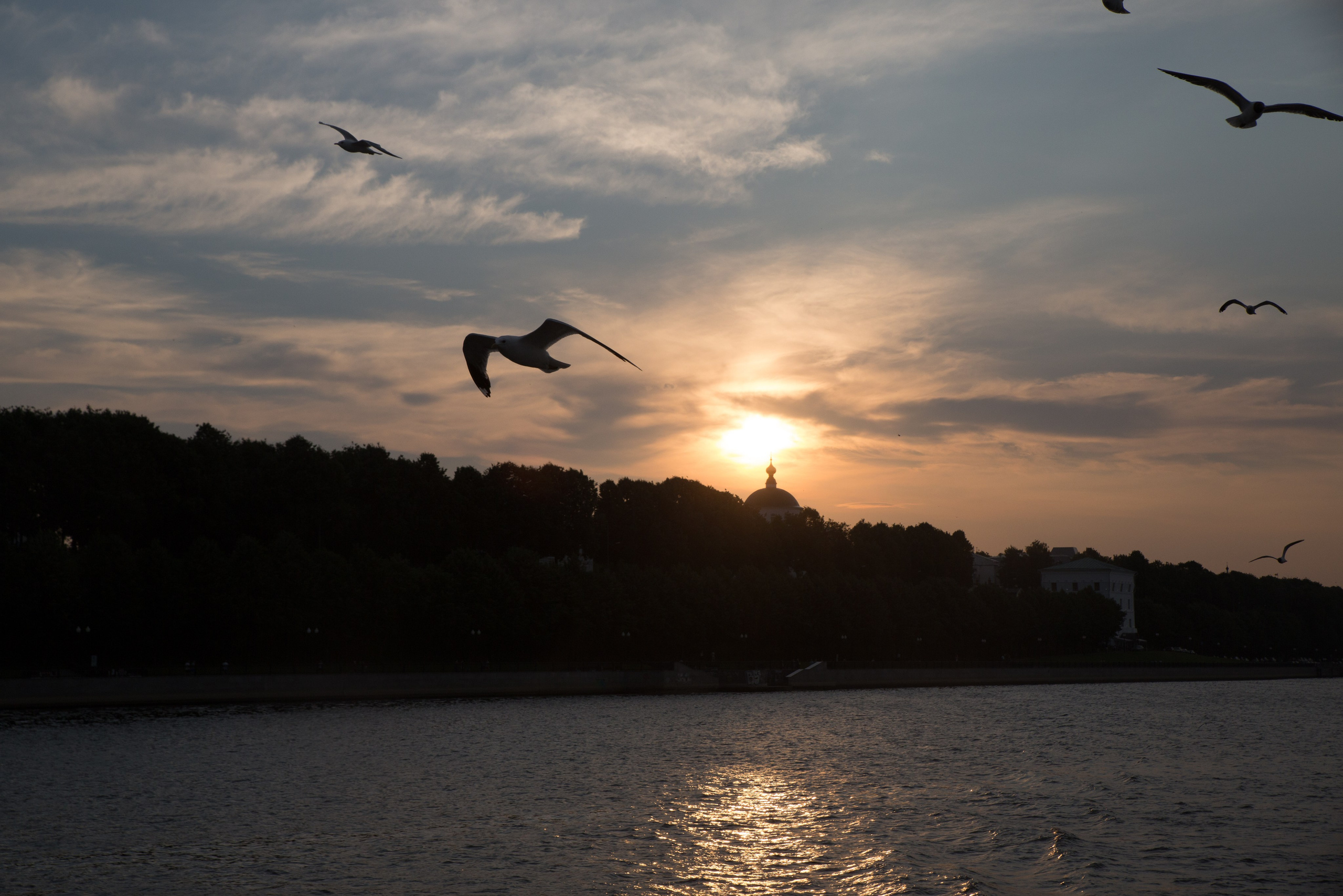 Г. Ярославль. Студия Максима Белослюдцева