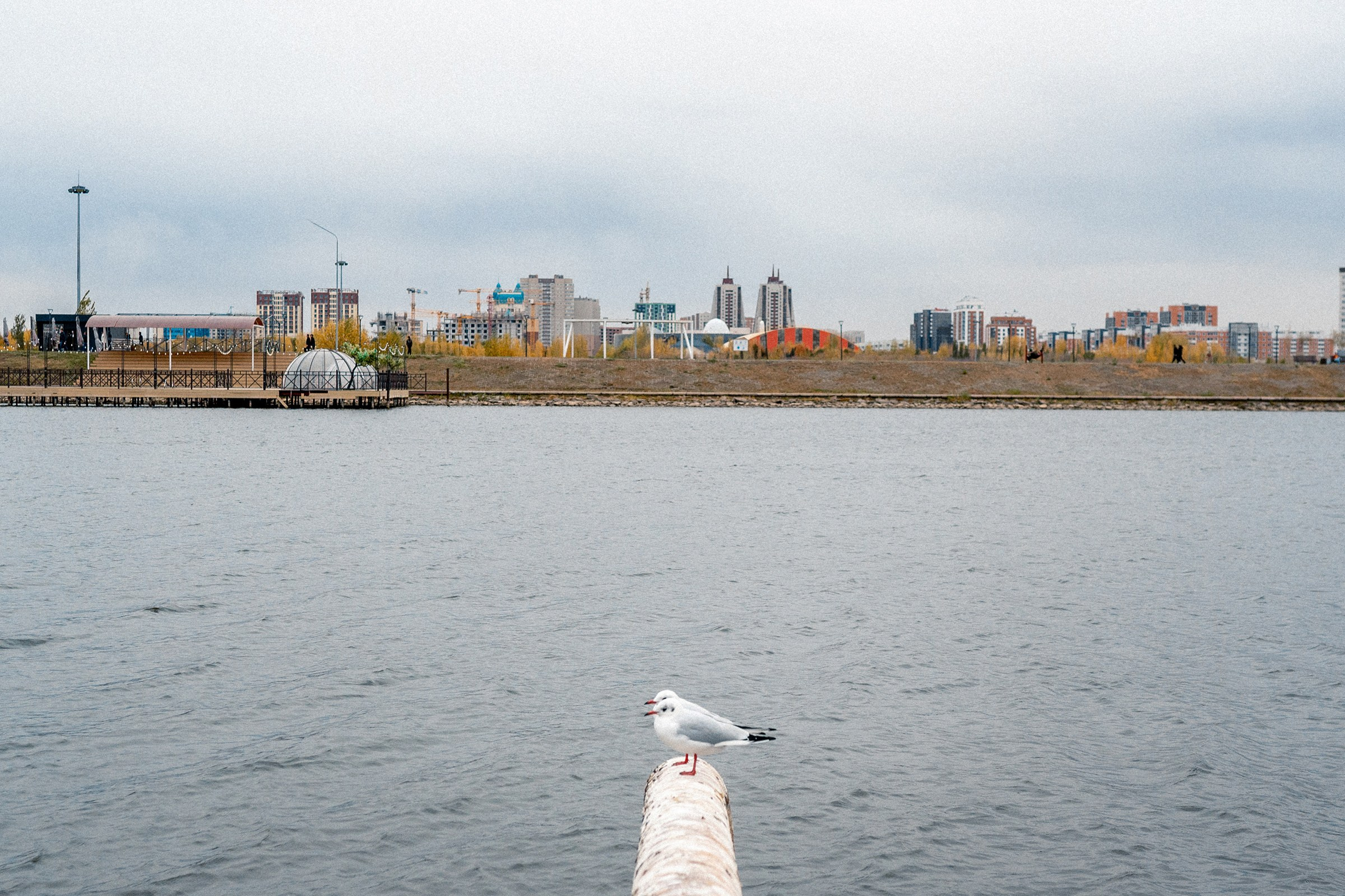 Репортажная съёмка. Профессиональный фотограф в Санкт-Петербурге