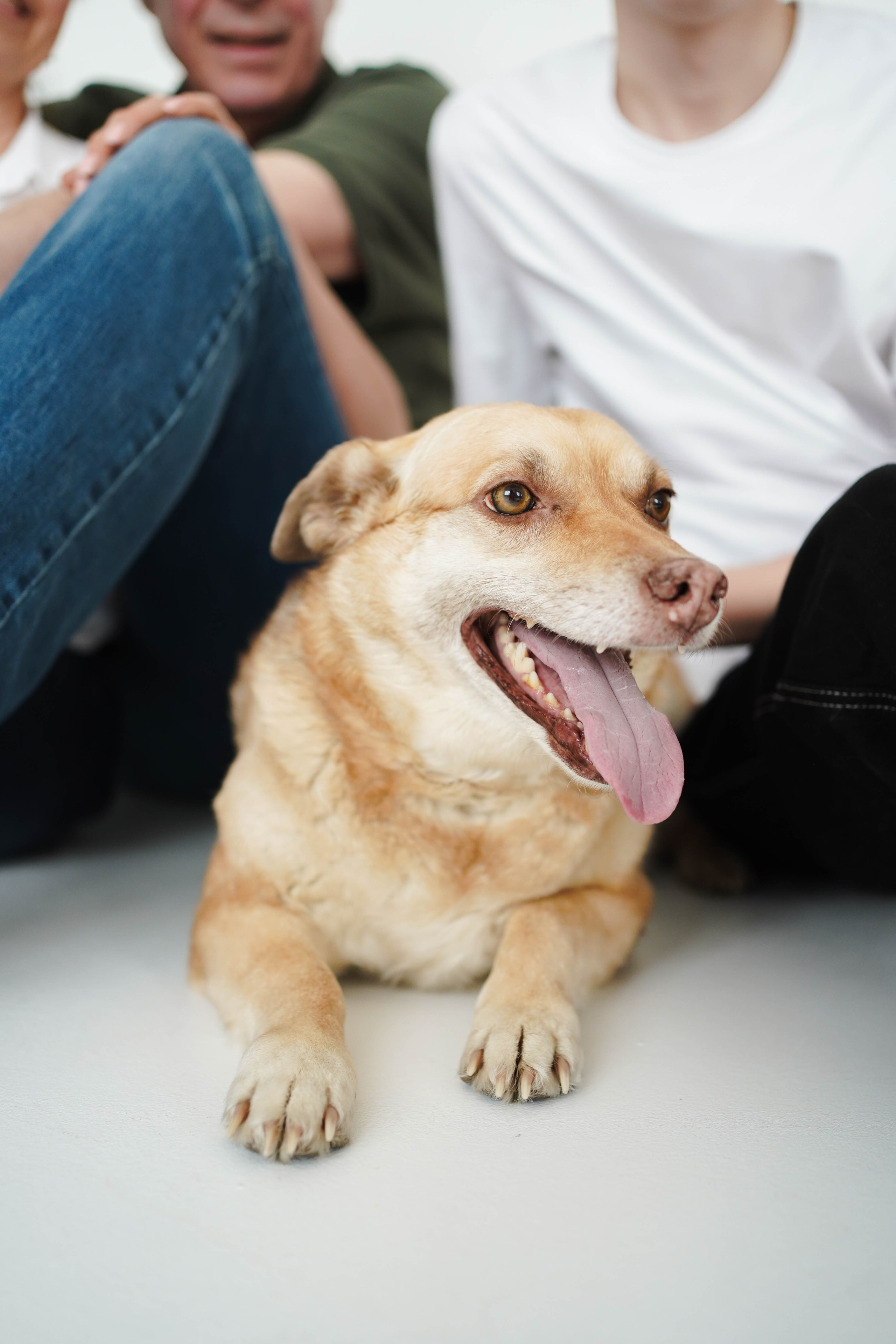 Варежка. Семейный и портретный фотограф в Екатеринбурге Yana Strok