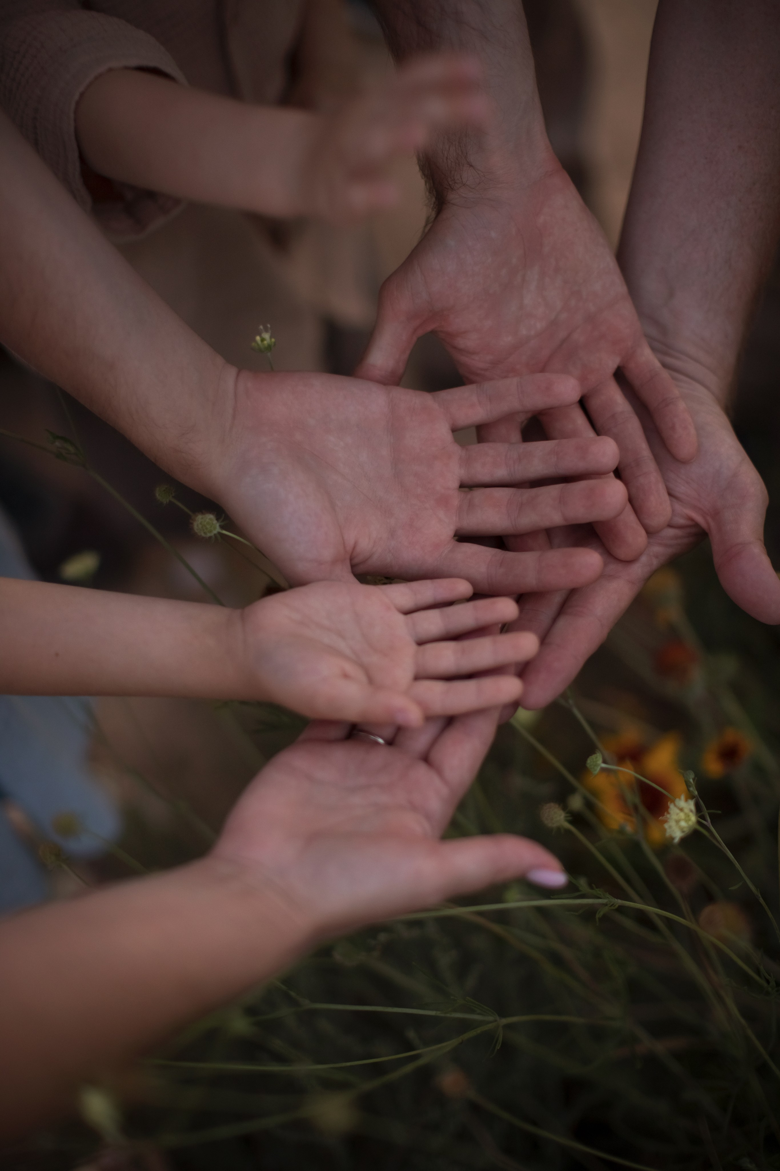 Семейное лето. Семейный и детский фотограф в Саратове Полина Коткина