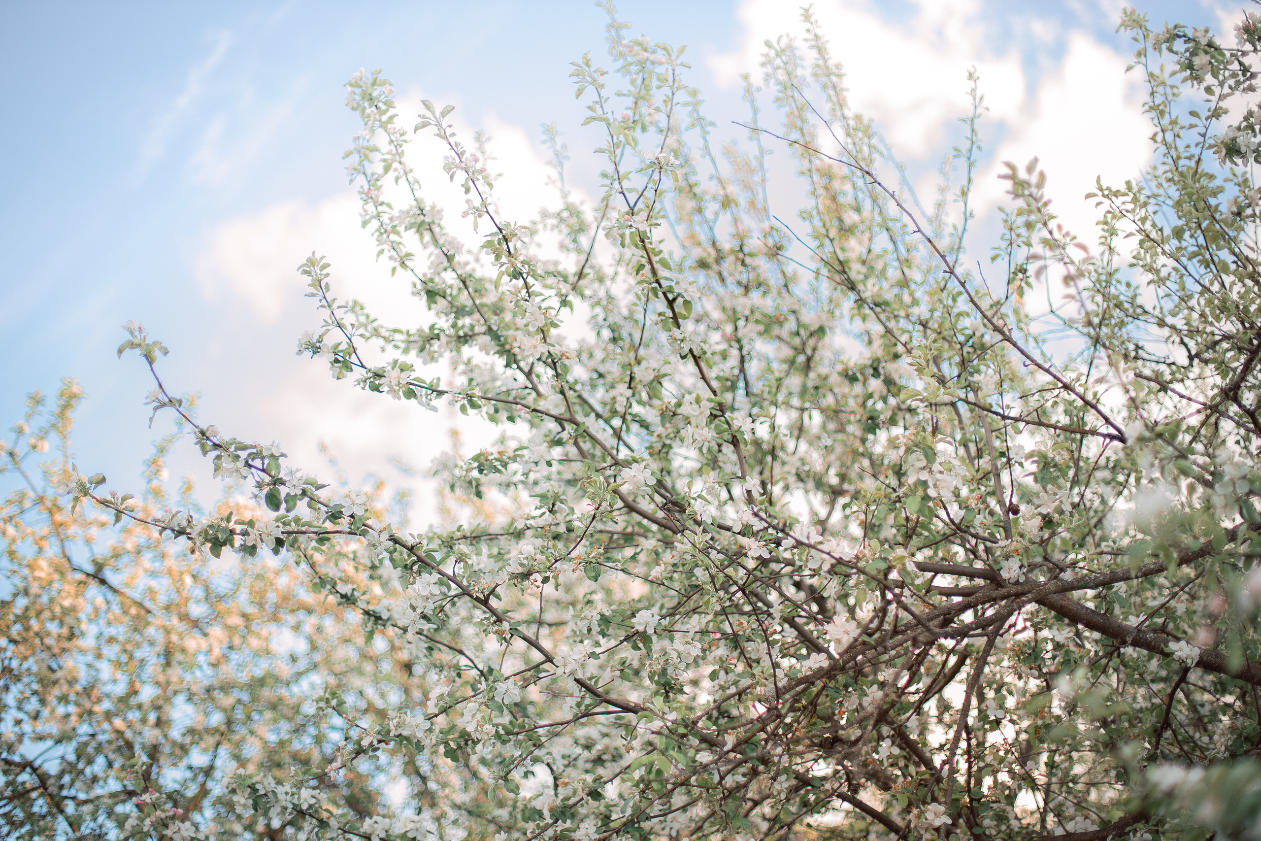 Про большую семейную съемку. Семейный и детский фотограф в Туле