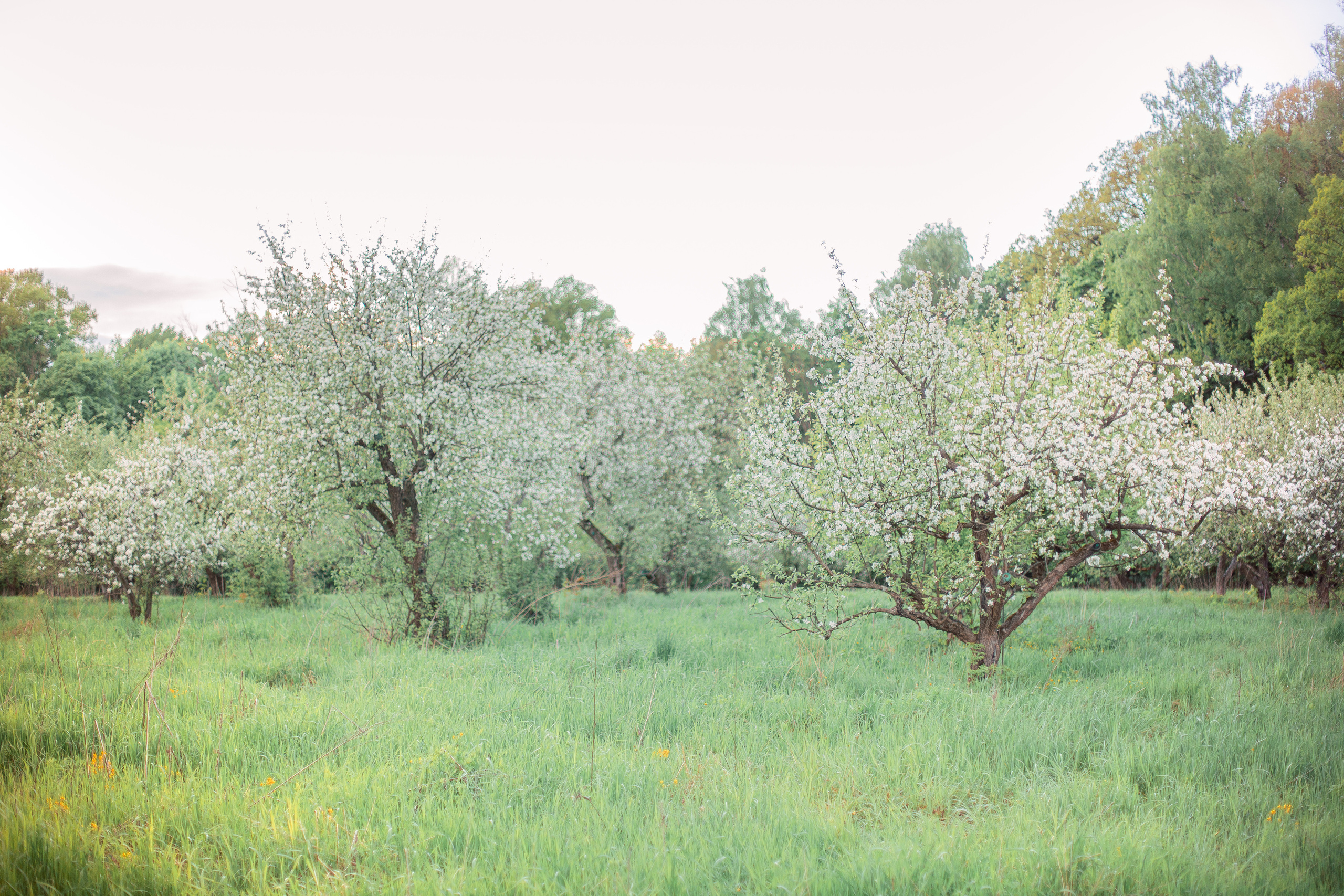 Про большую семейную съемку. Семейный и детский фотограф в Туле