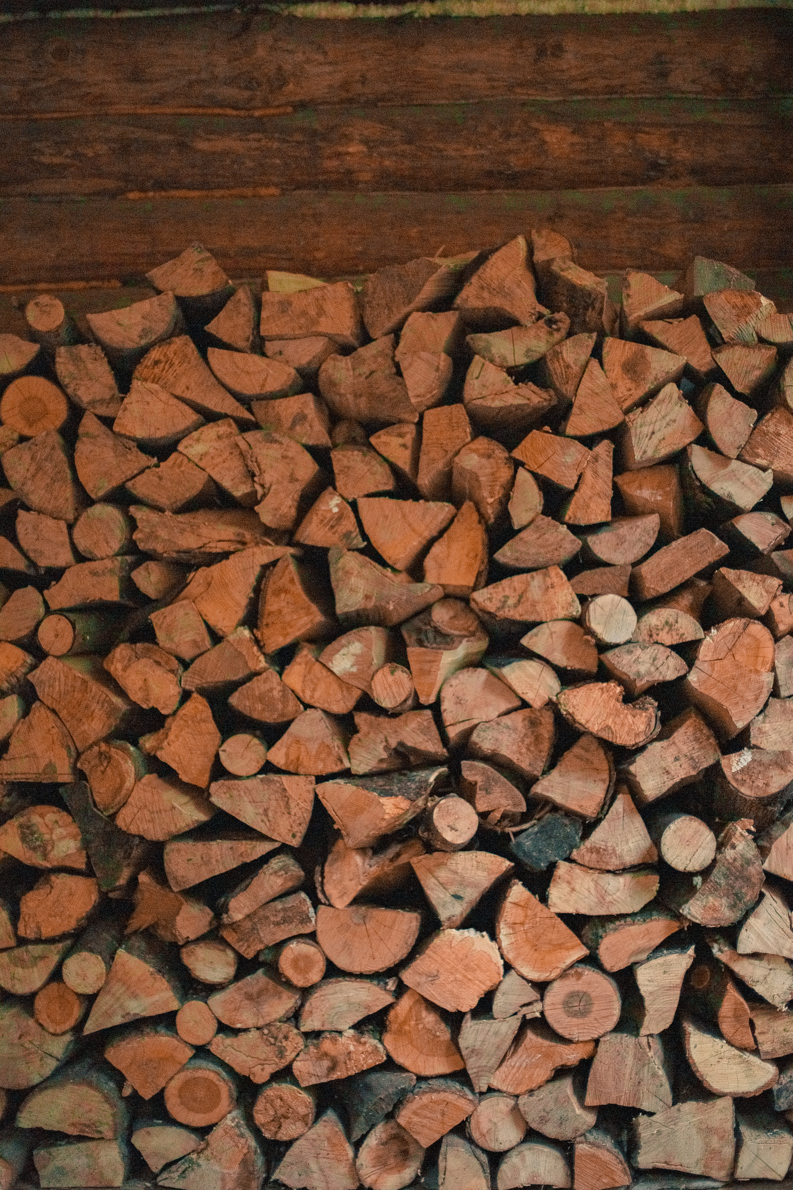 Про Максима, Аню, Дарину и…. Семейный и детский фотограф в Туле