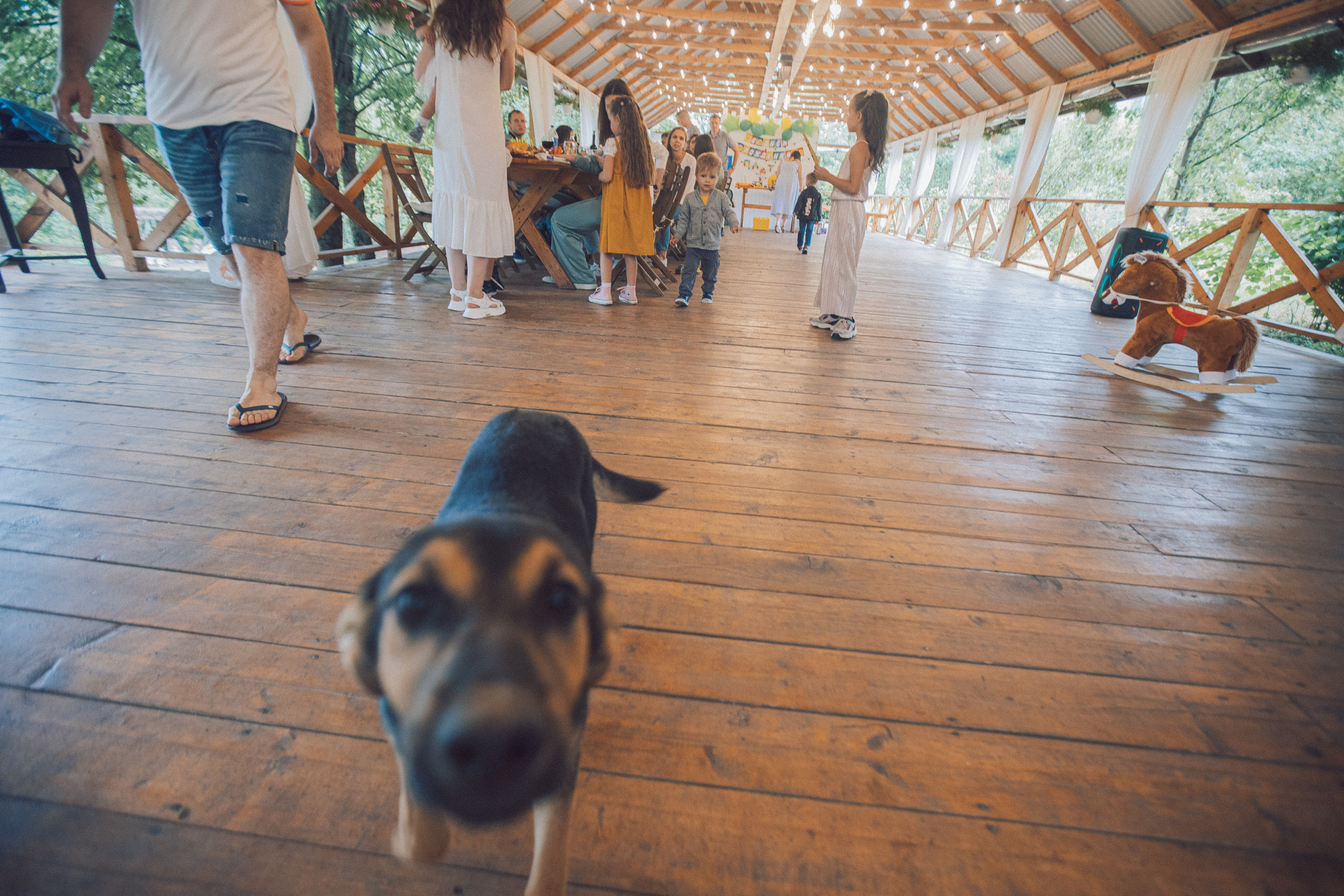 Про день рождения Платона. Семейный и детский фотограф в Туле