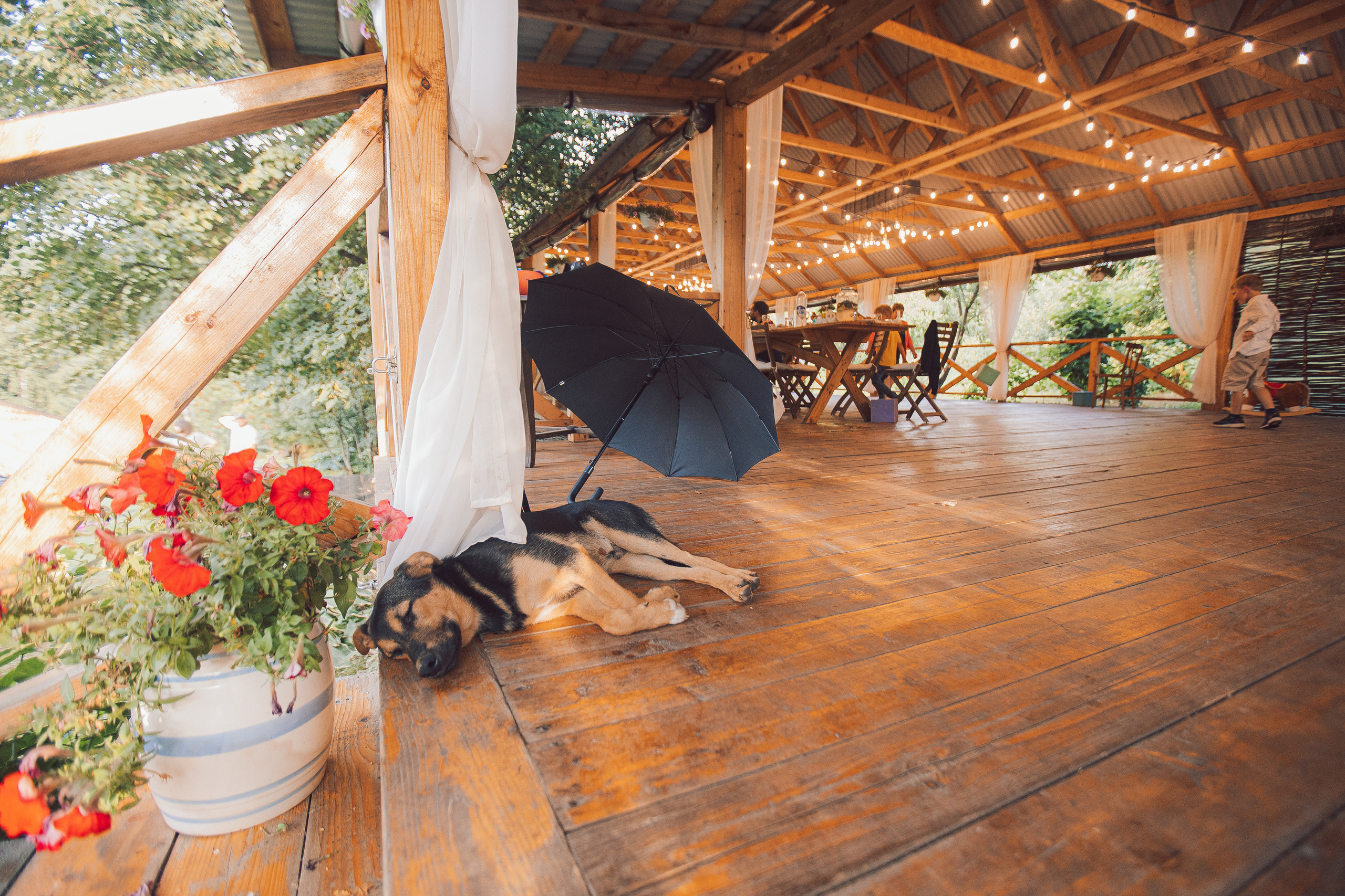 Про день рождения Платона. Семейный и детский фотограф в Туле