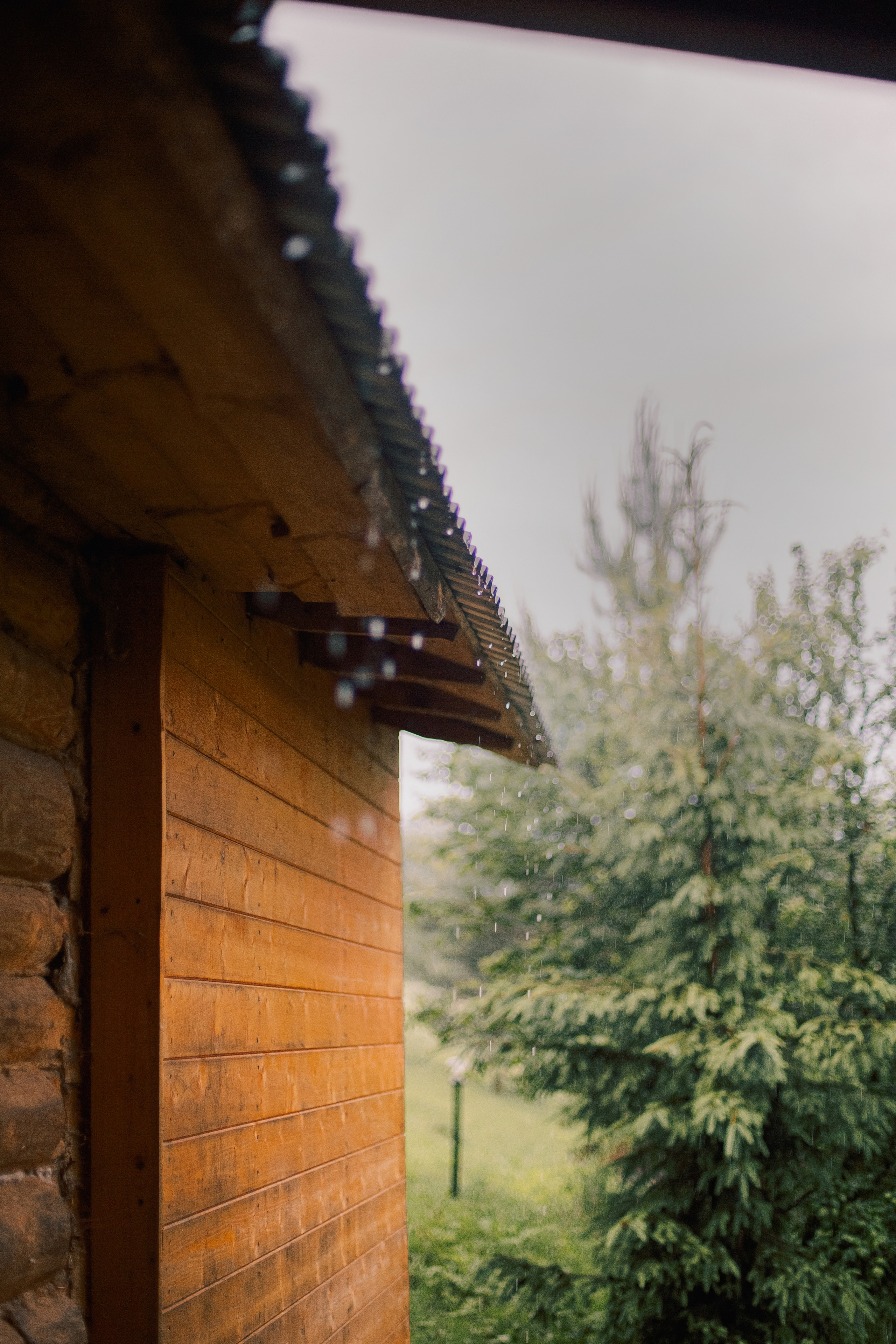 Про Максима, Аню, Дарину и…. Семейный и детский фотограф в Туле