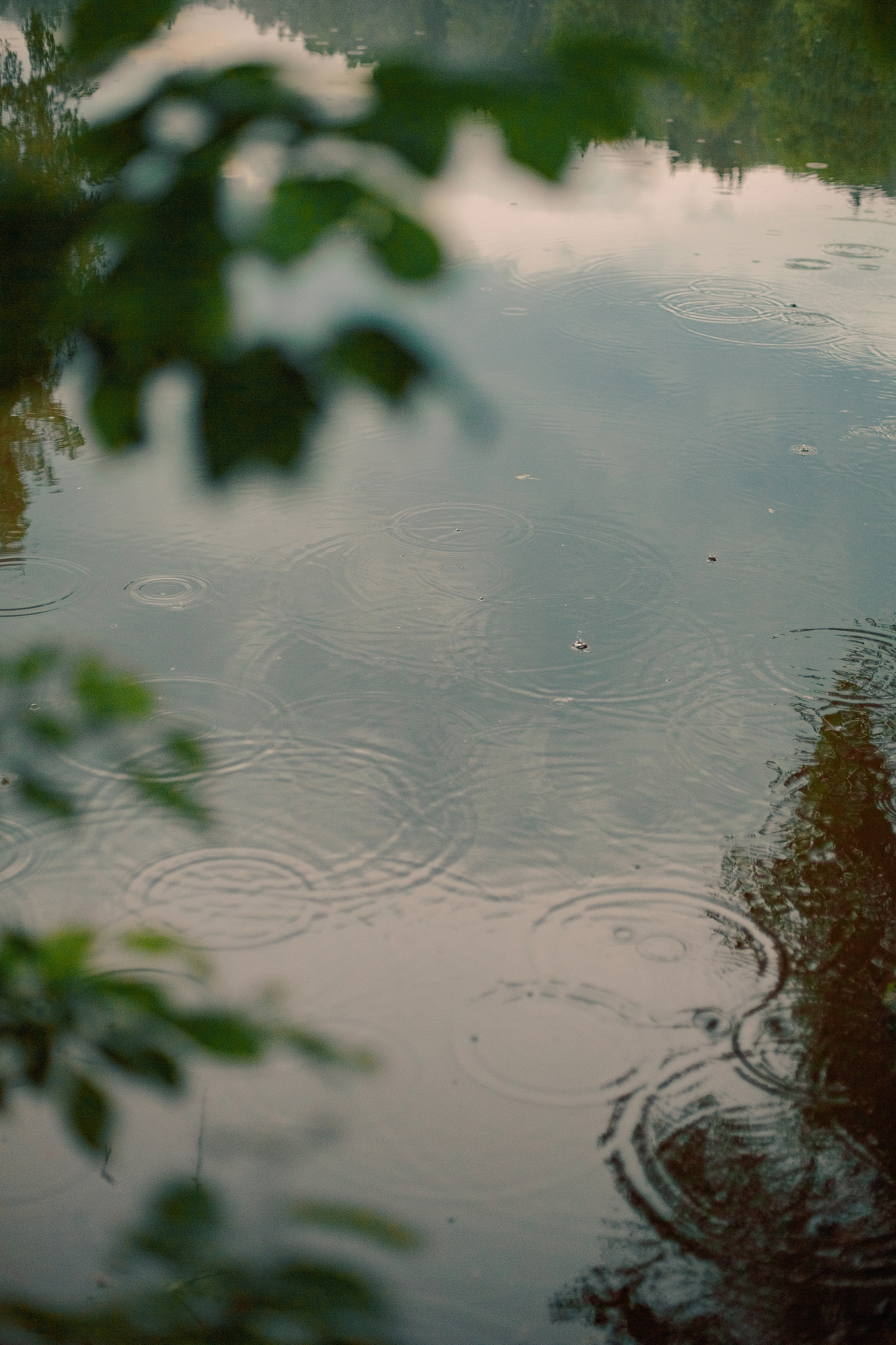 Про Максима, Аню, Дарину и…. Семейный и детский фотограф в Туле