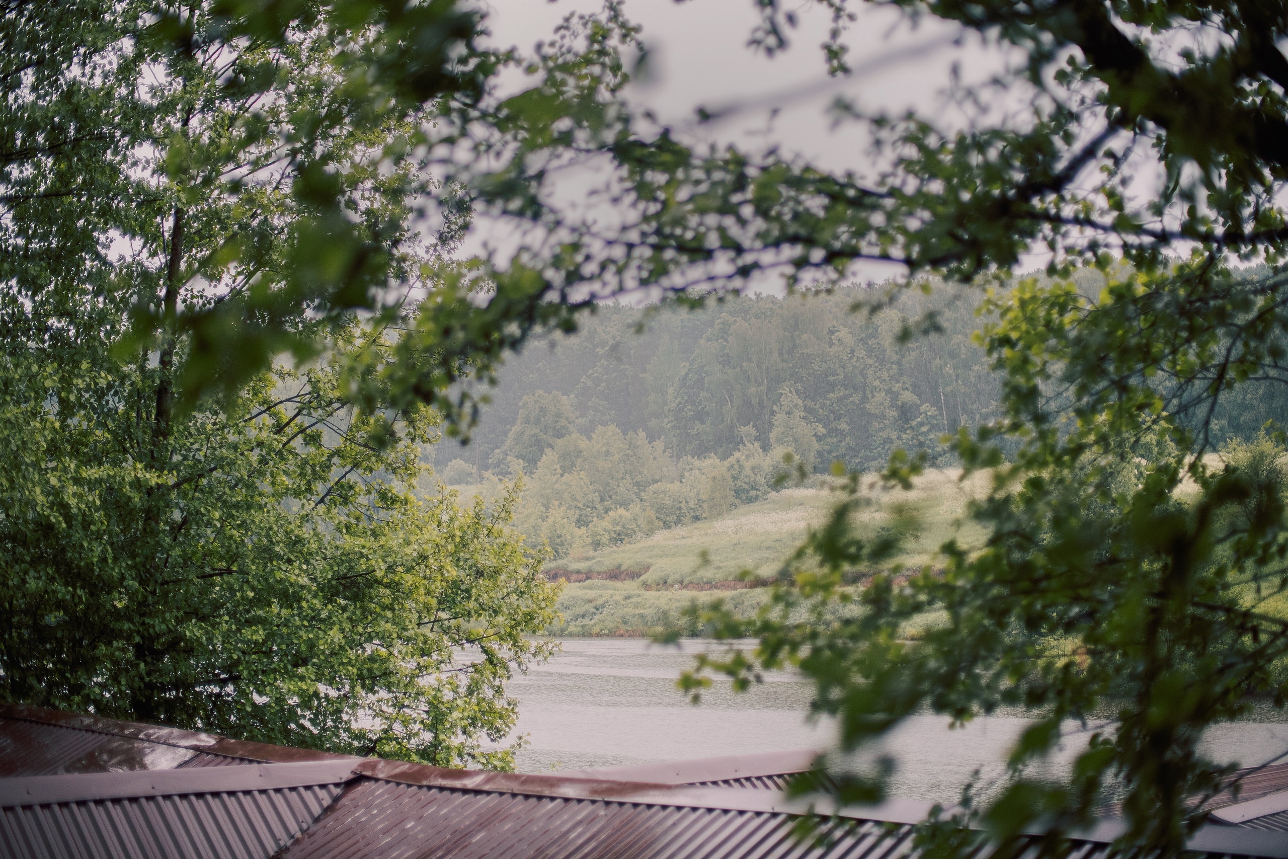 Про Максима, Аню, Дарину и…. Семейный и детский фотограф в Туле