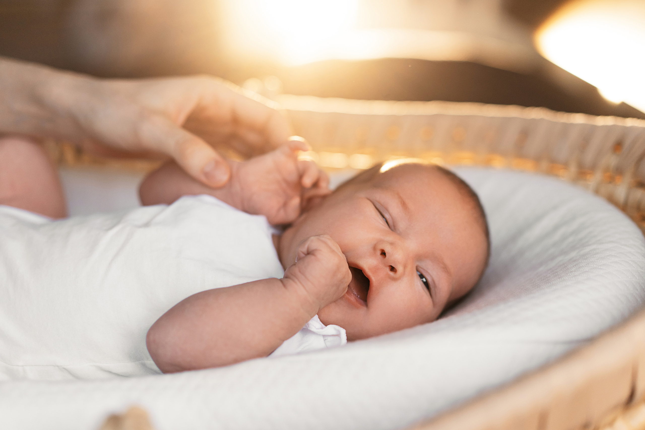 Ксения. Семейный и детский фотограф в Санкт-Петербурге Дарина Герчиу
