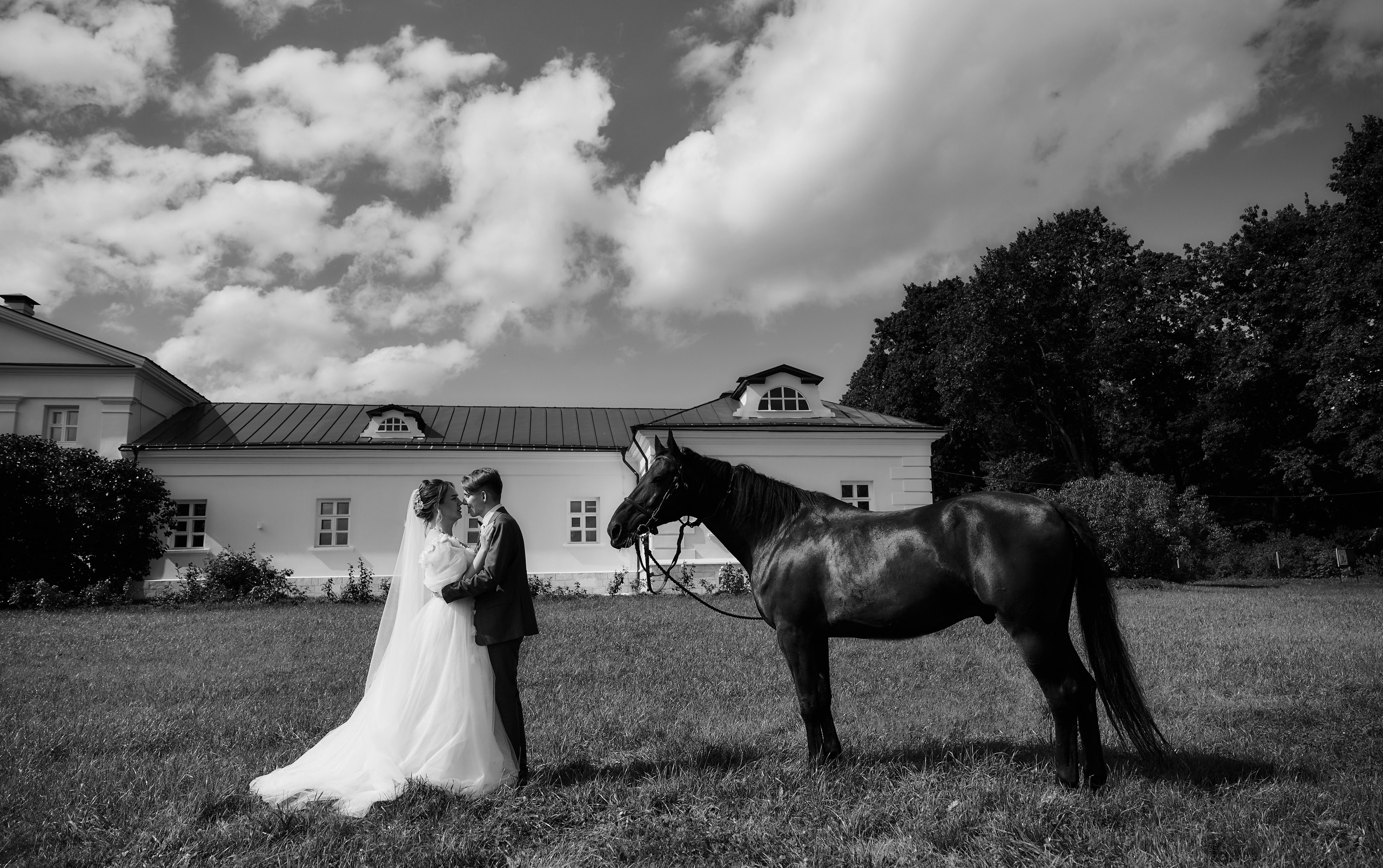 Свадьба в Петушках Тула. Свадебный фотограф в Туле Никита Беляев