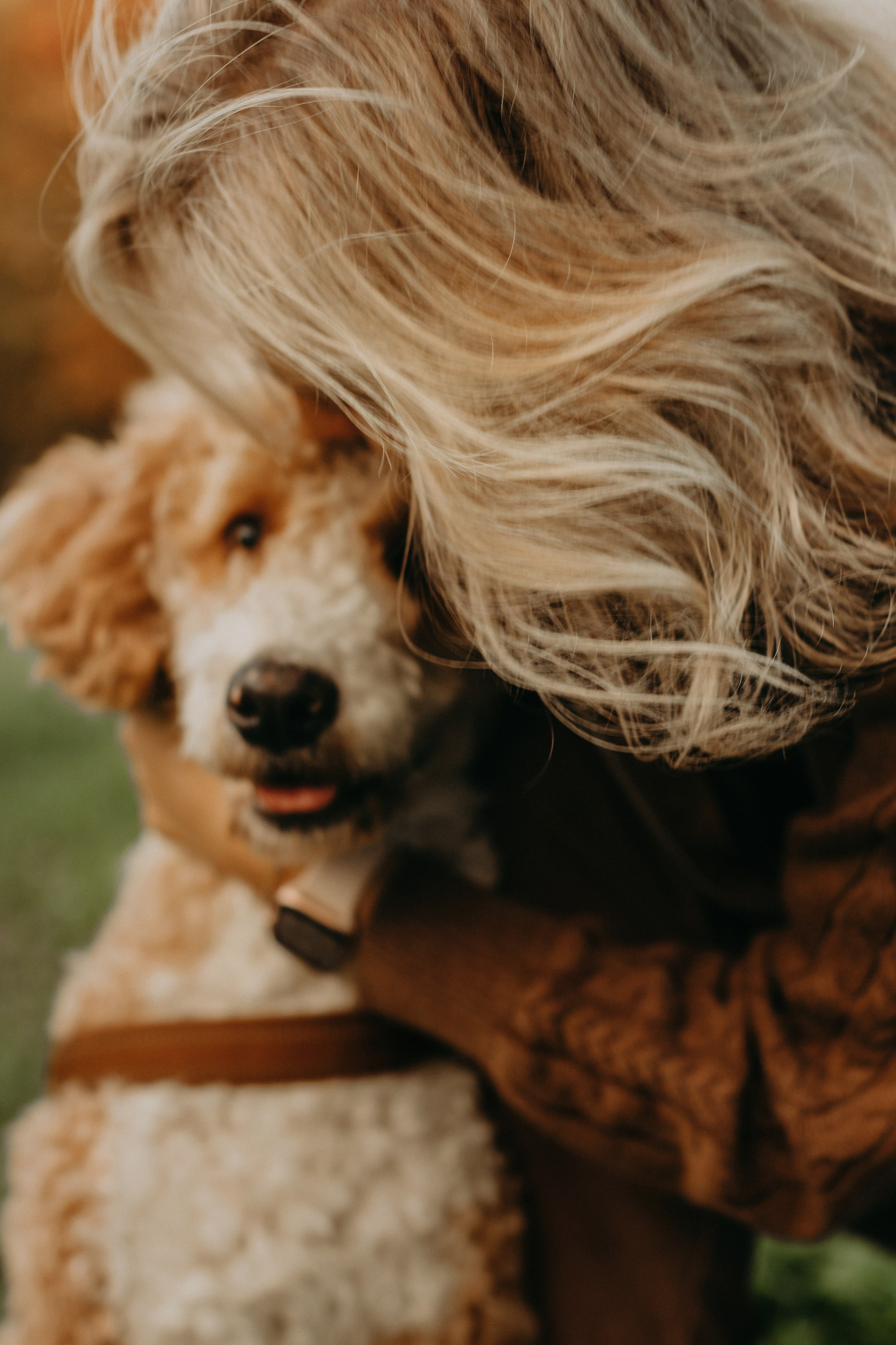 Пуф и его семья. Фотограф в Краснодаре Евгения Михаевич