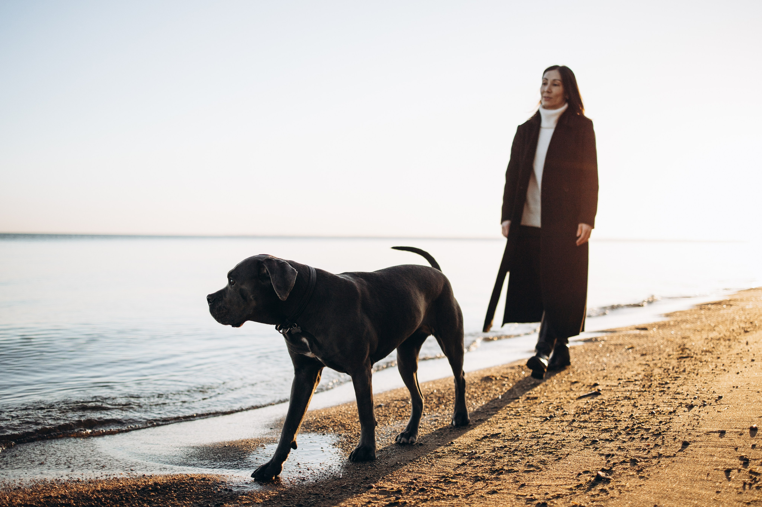 Анна и Лана. Фотограф — Анималист | Санкт-Петербург