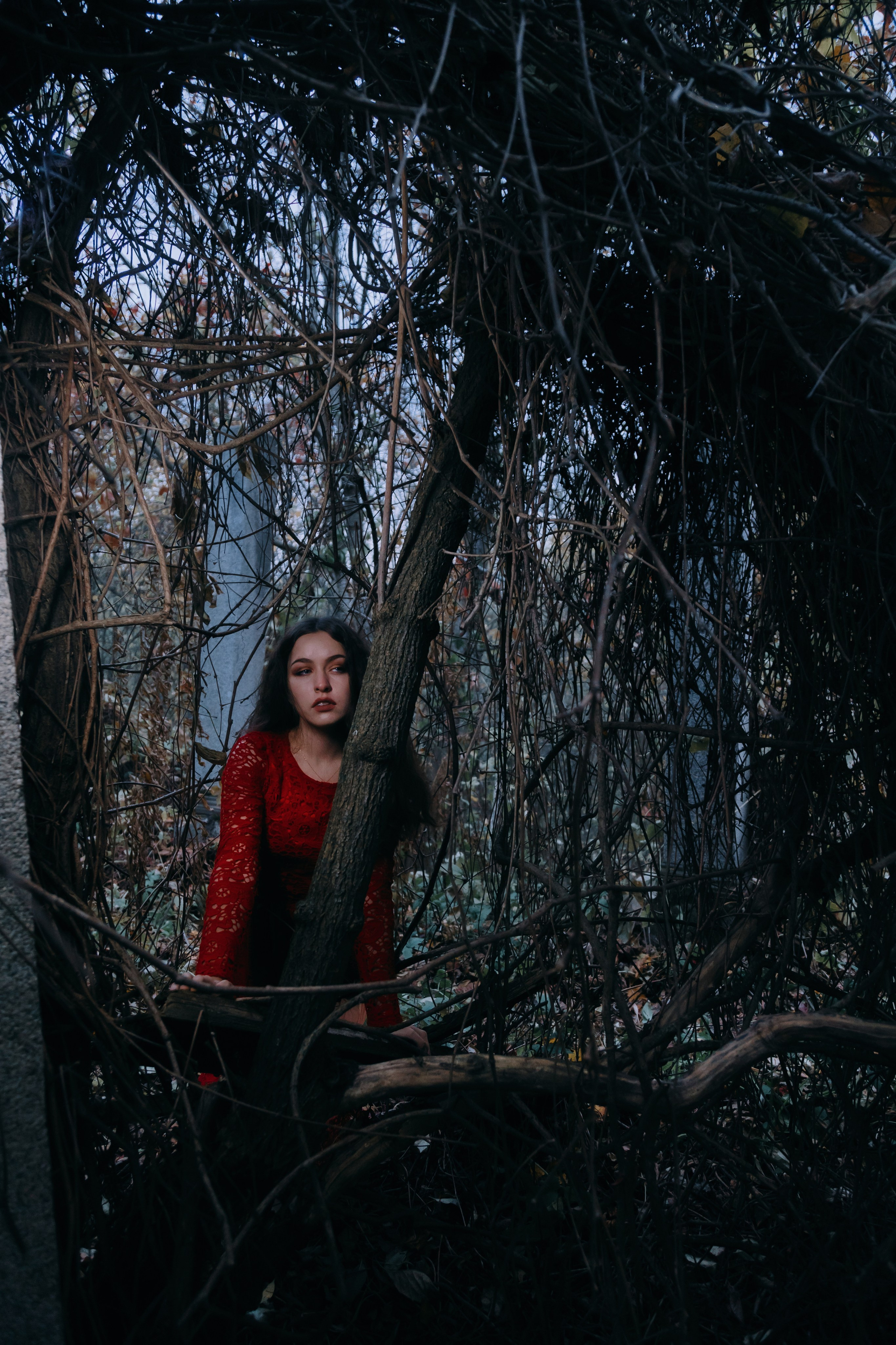 В заброшенной усадьбе. Креатор Ольга Яш