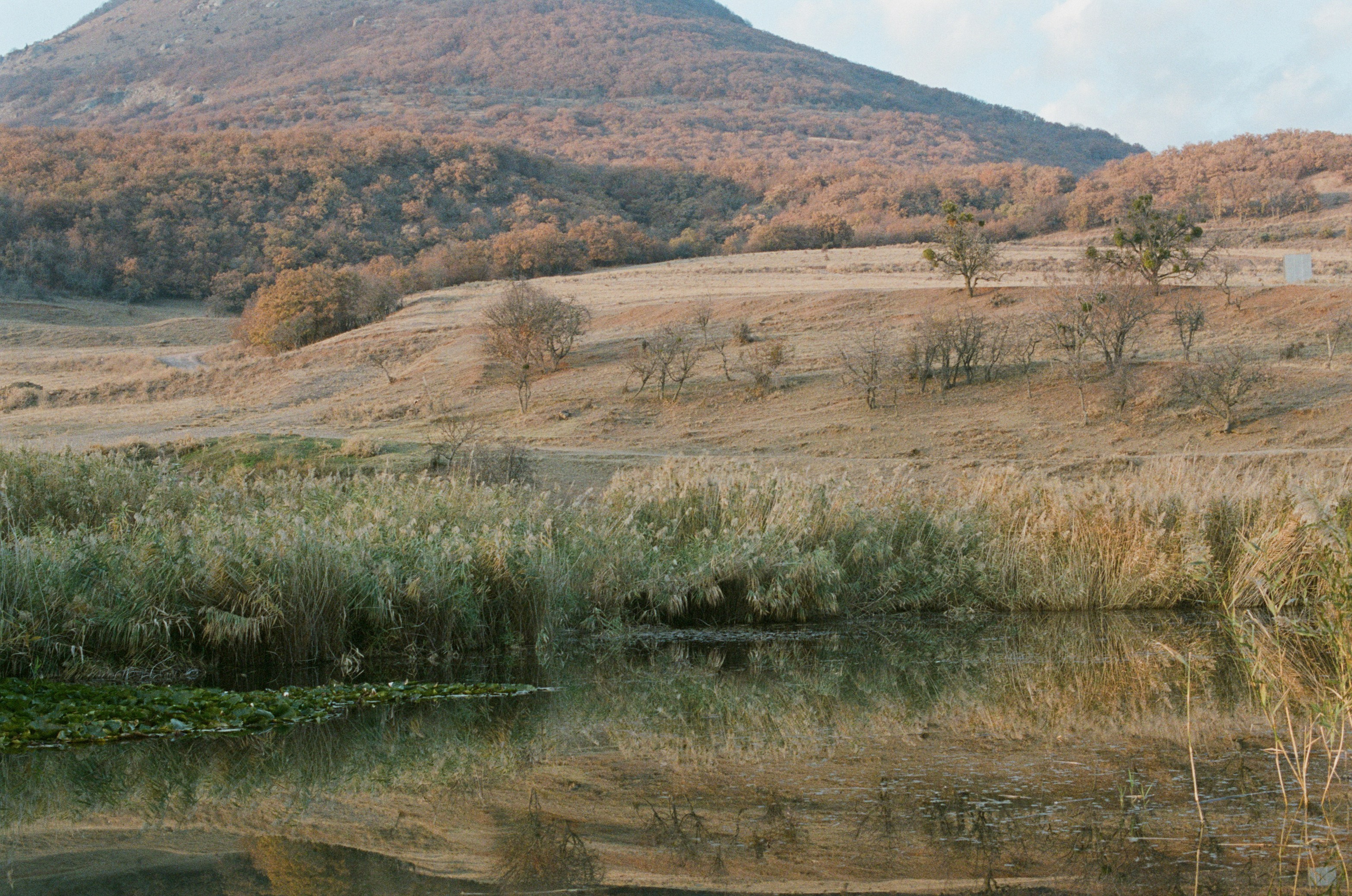 Wherever you will go // ukraine, crimea III. EVER EXPOSED