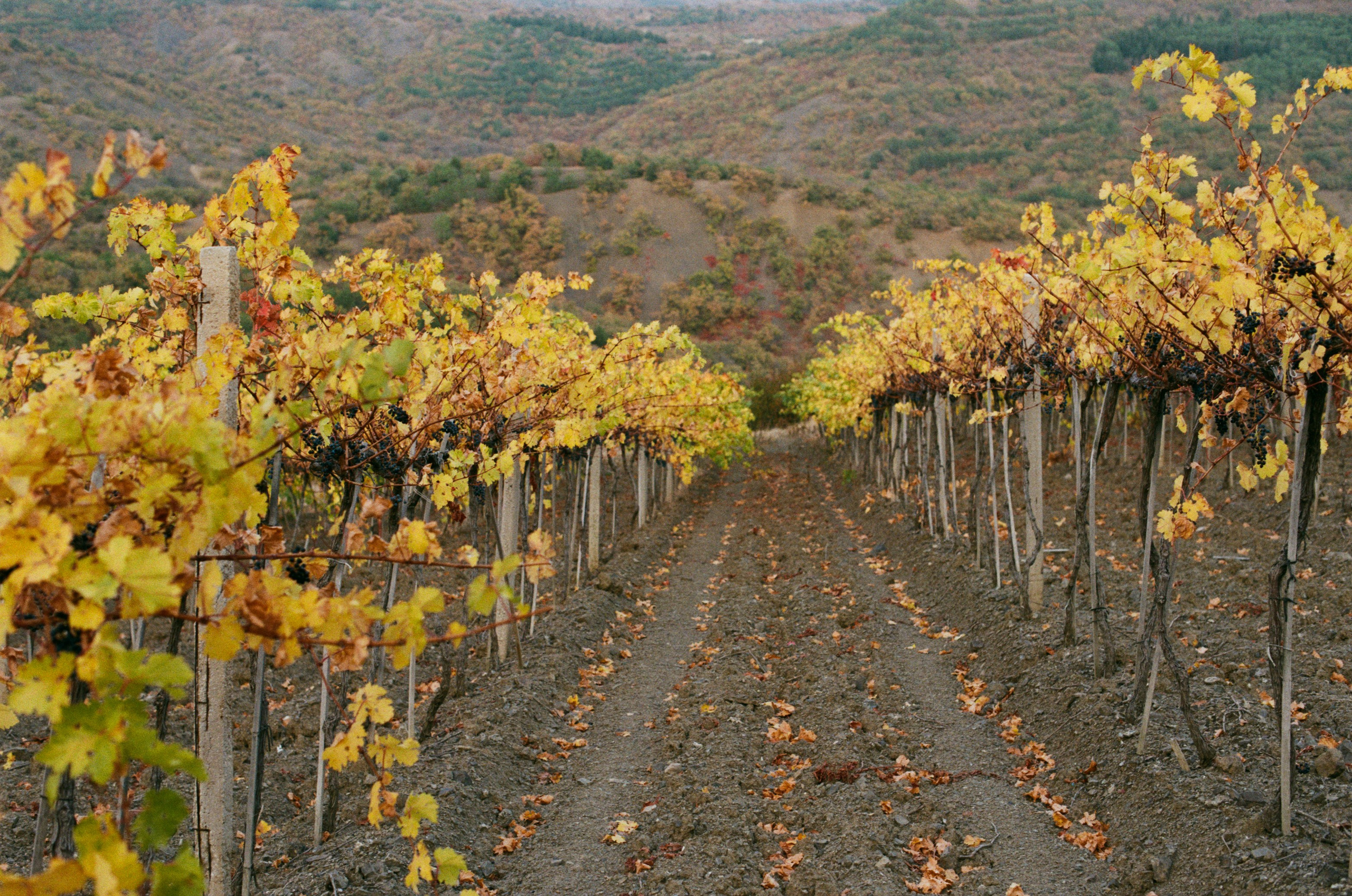 Wherever you will go // ukraine, crimea. EVER EXPOSED