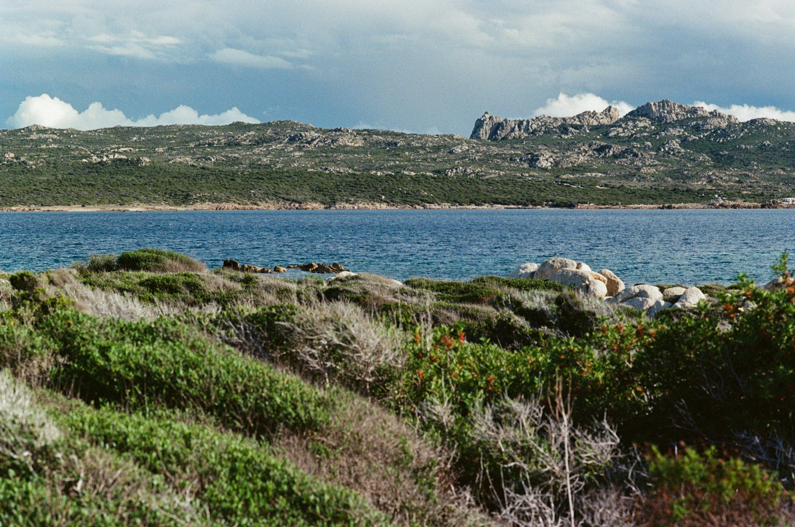 Silence is also an answer // corsica IV. EVER EXPOSED