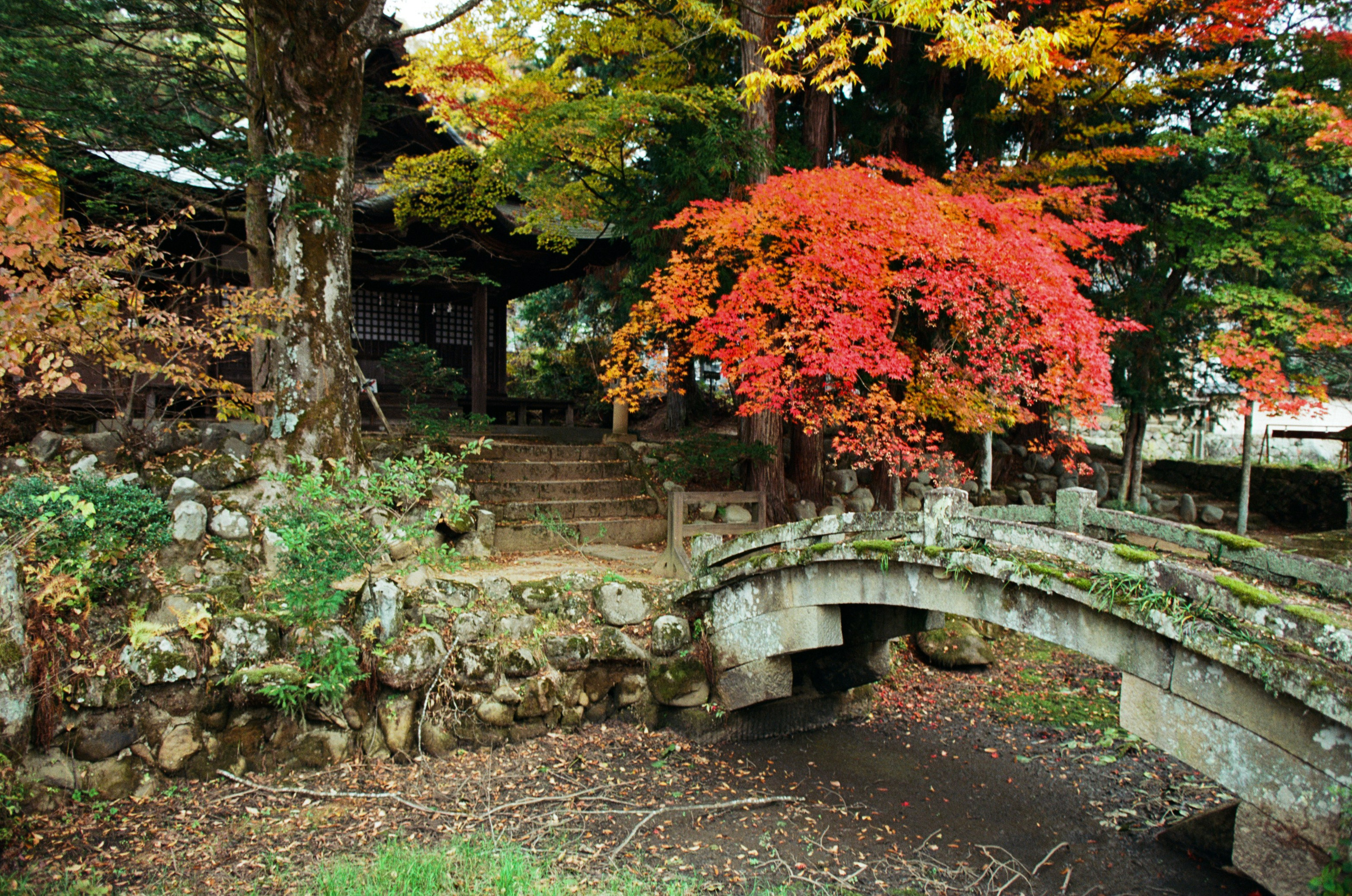 Out of noise // japan, takayama. EVER EXPOSED