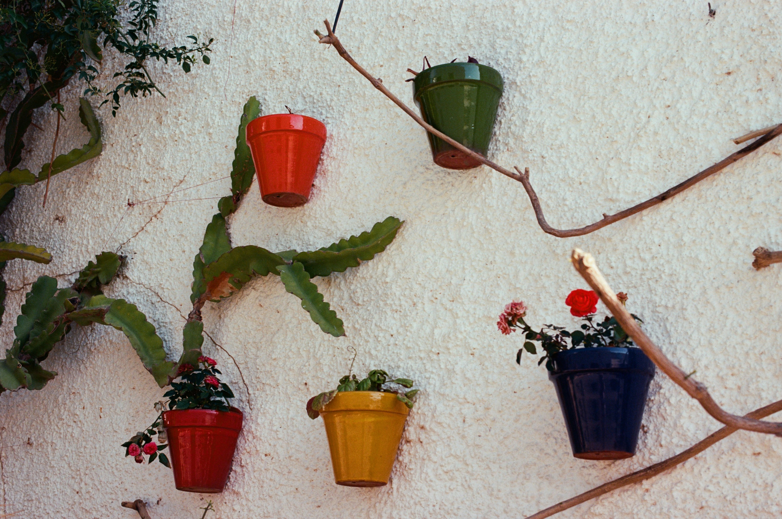 Spanish sahara // spain, pozo de los frailes. EVER EXPOSED