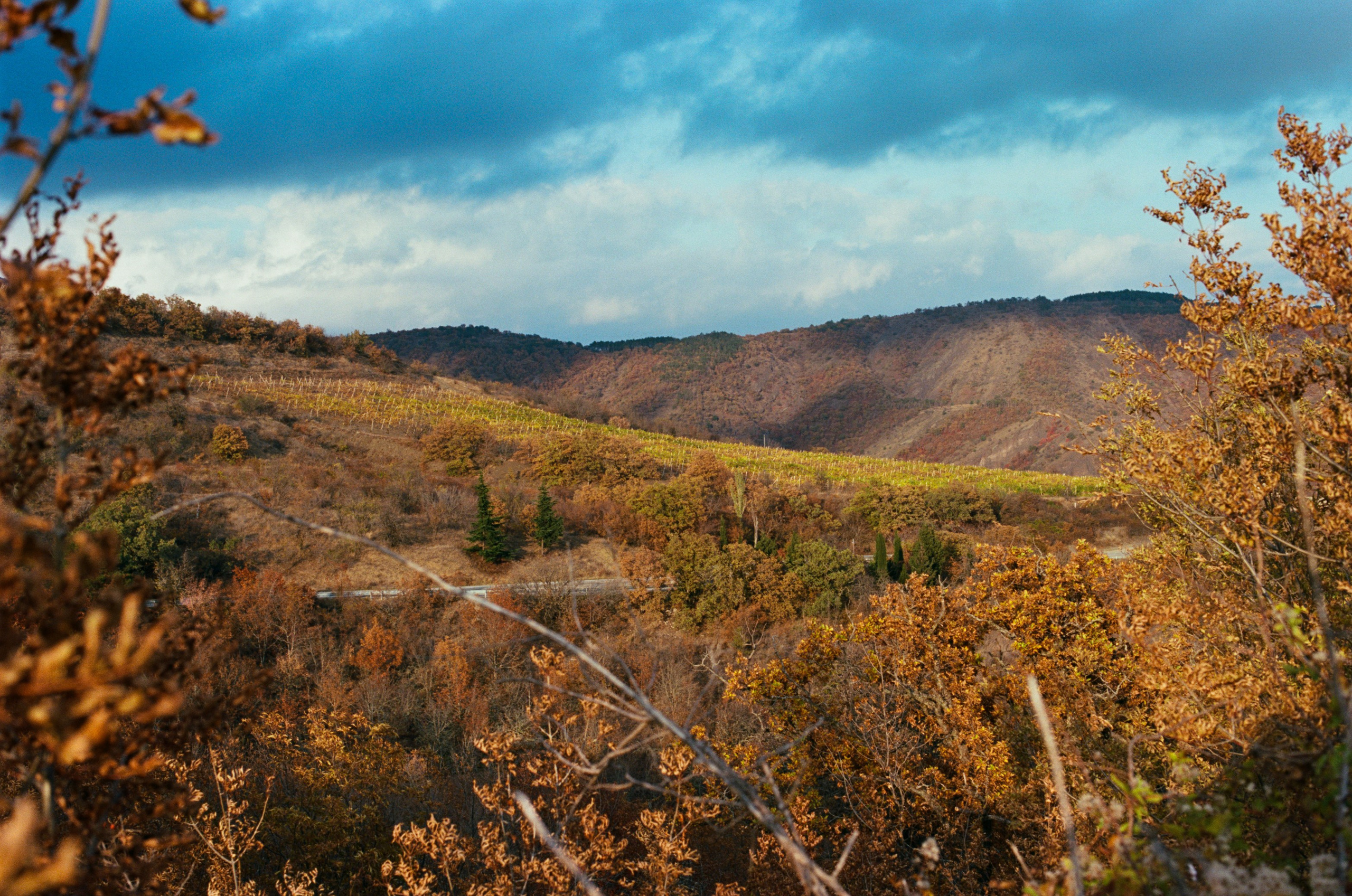 Wherever you will go // ukraine, crimea II. EVER EXPOSED