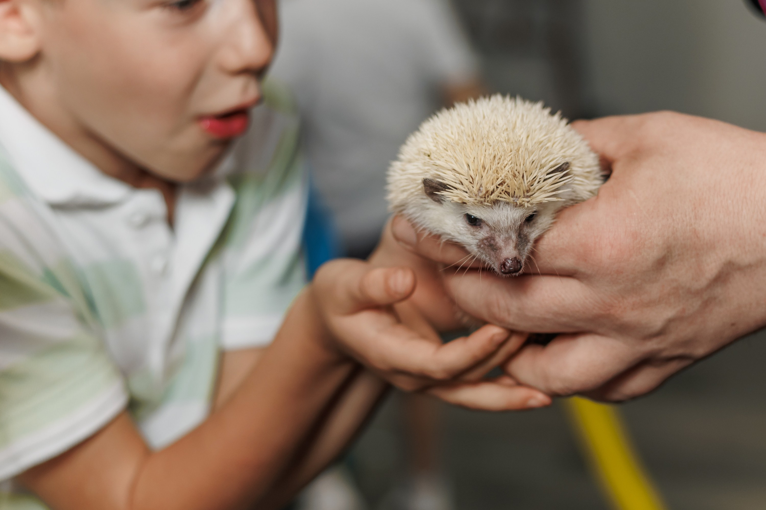 Детский День Рождения. Репортажный фотограф. Москва. Алина Ланская