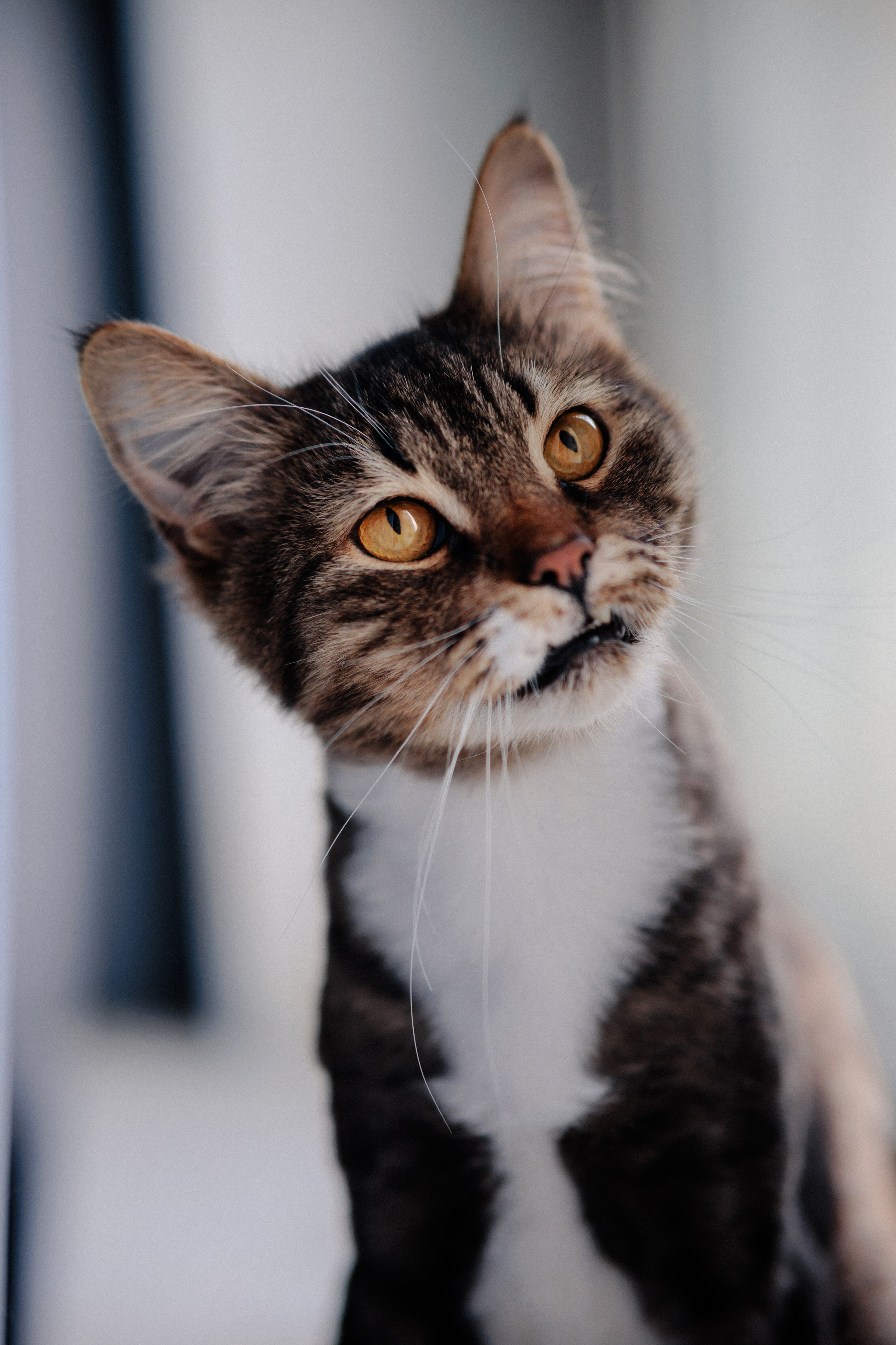 Ася и ее семья. Фотограф в Санкт-Петербурге Алёна Губинская