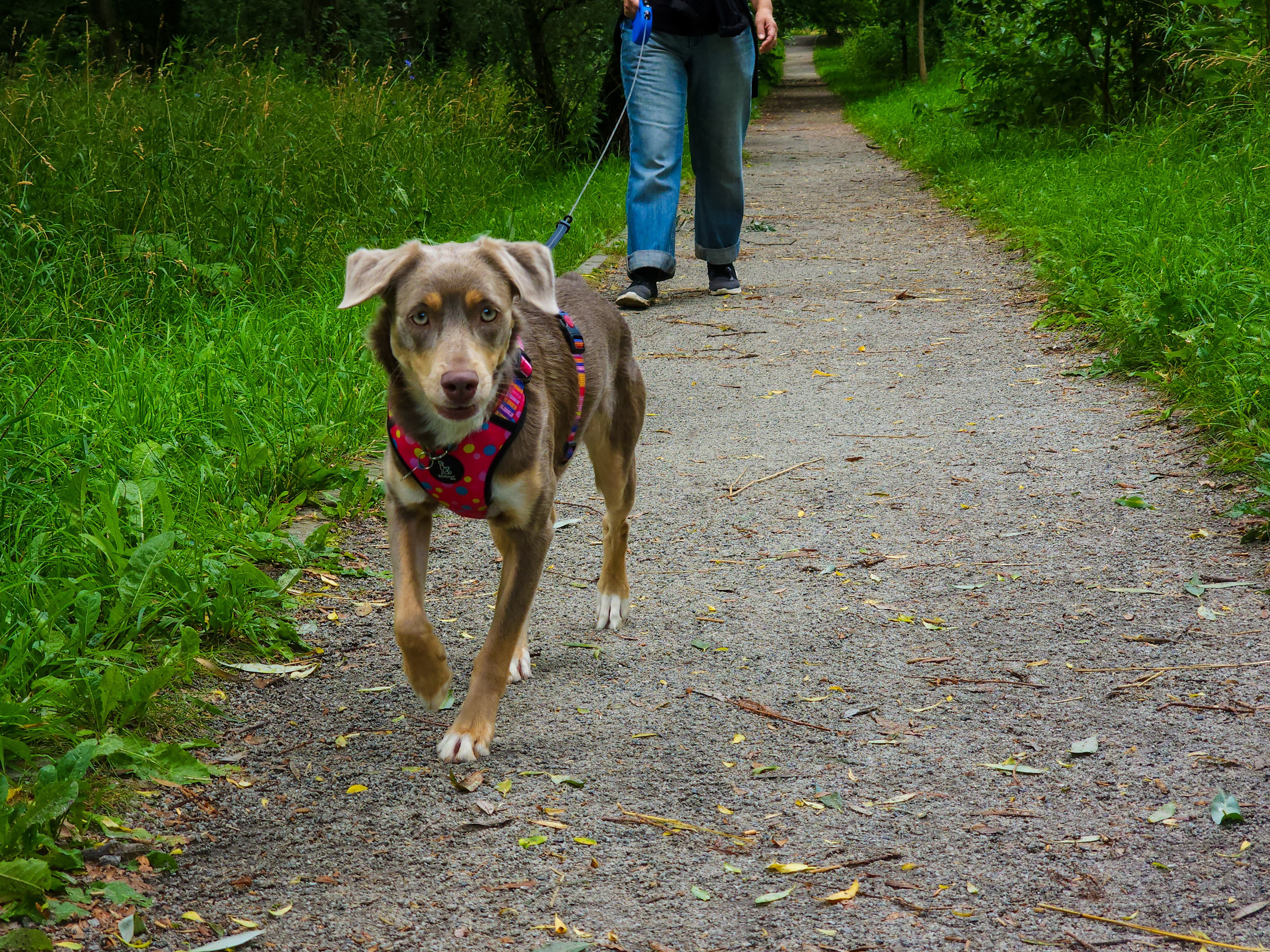 Репортажное фото фотопрогулка