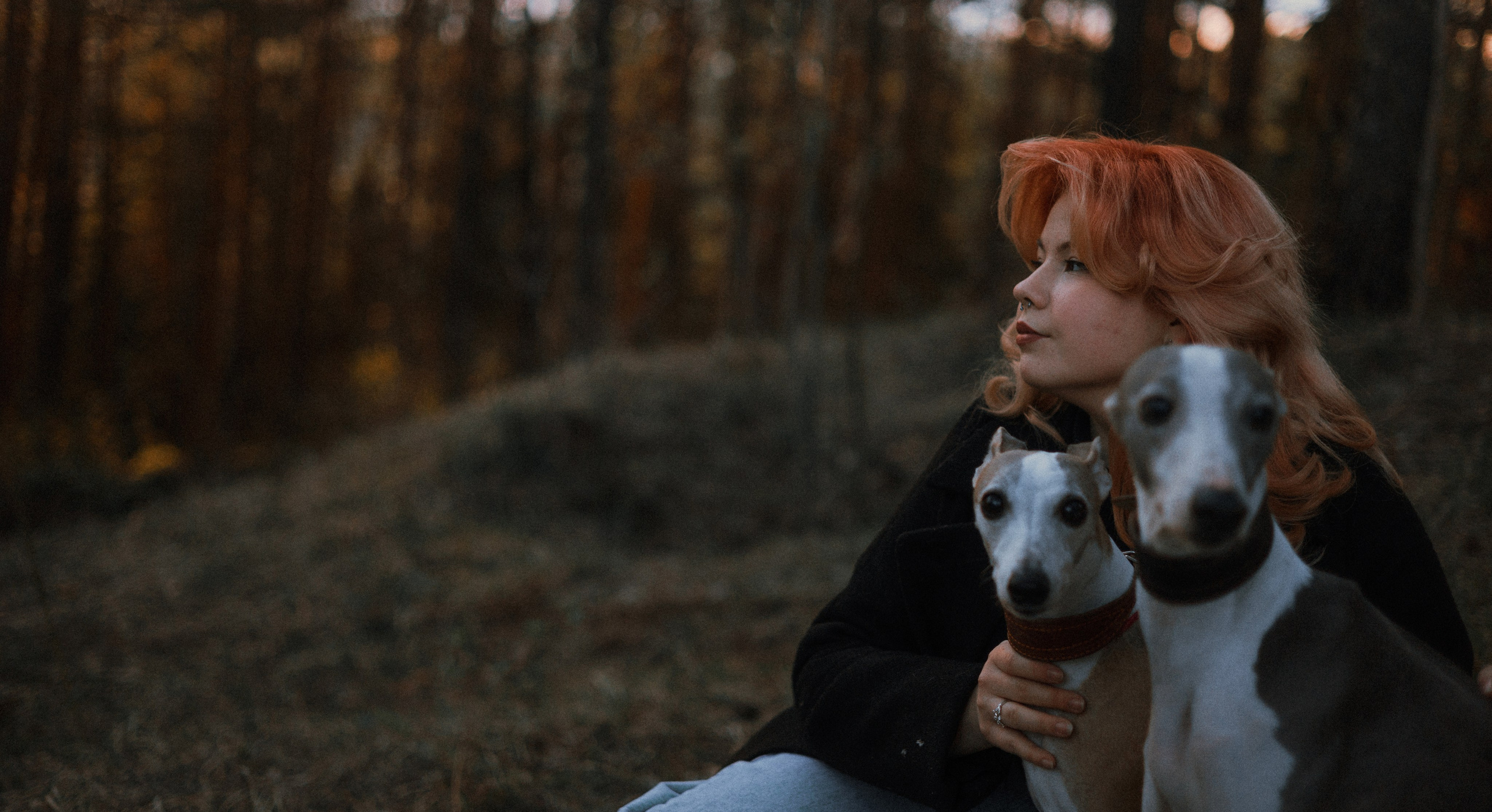 Вика, Джем и Белла. Фотограф-анималист Богданова Полина